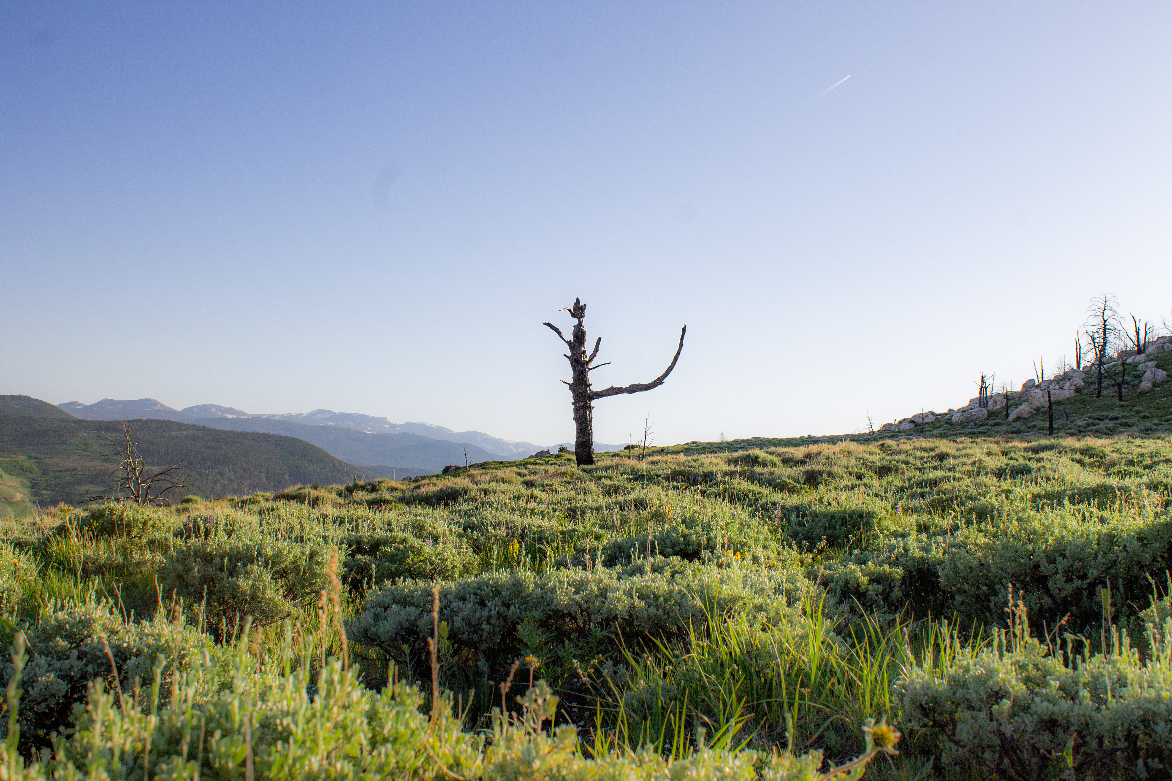 Sinks Canyon, Wyoming