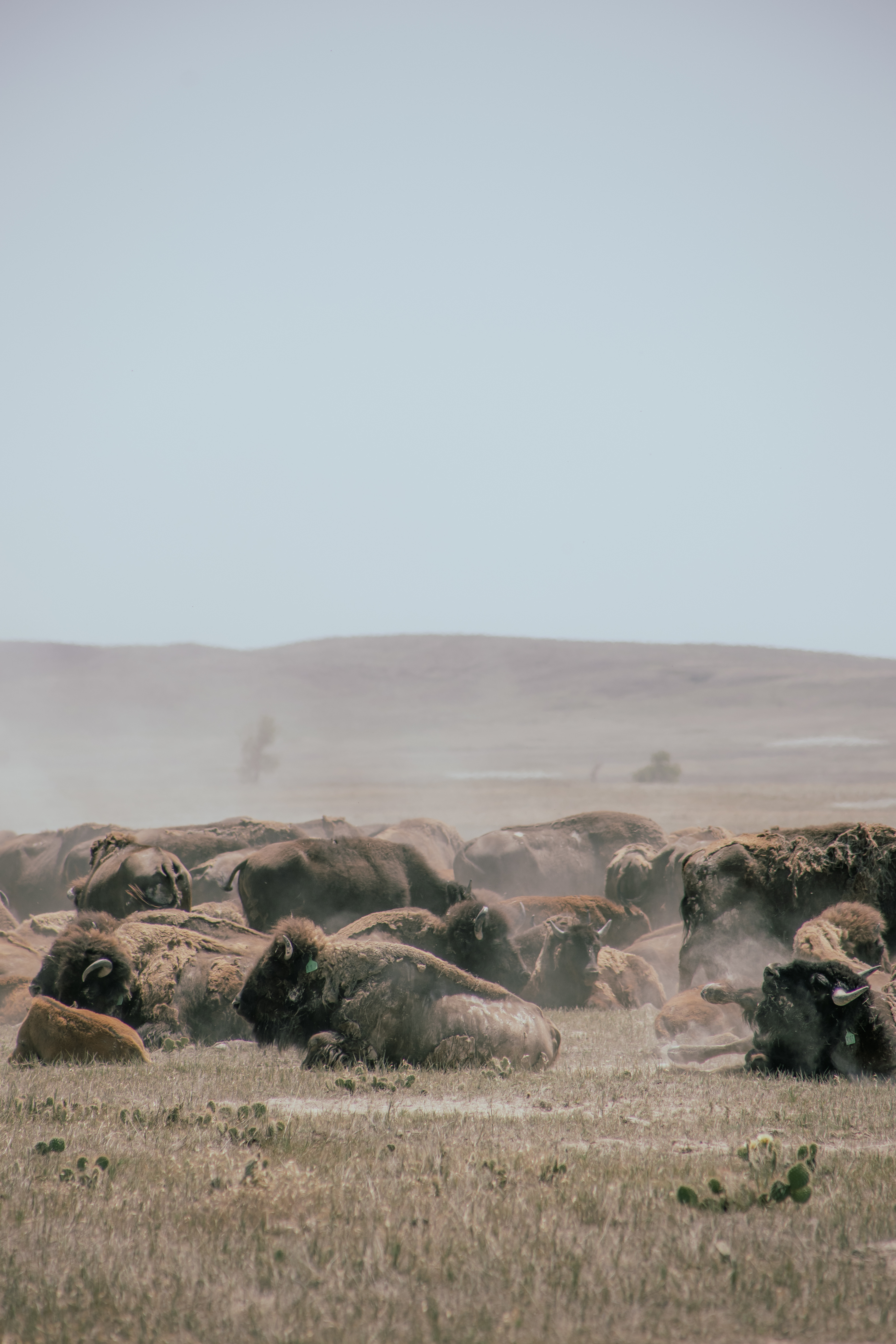 Badlands, South Dakota