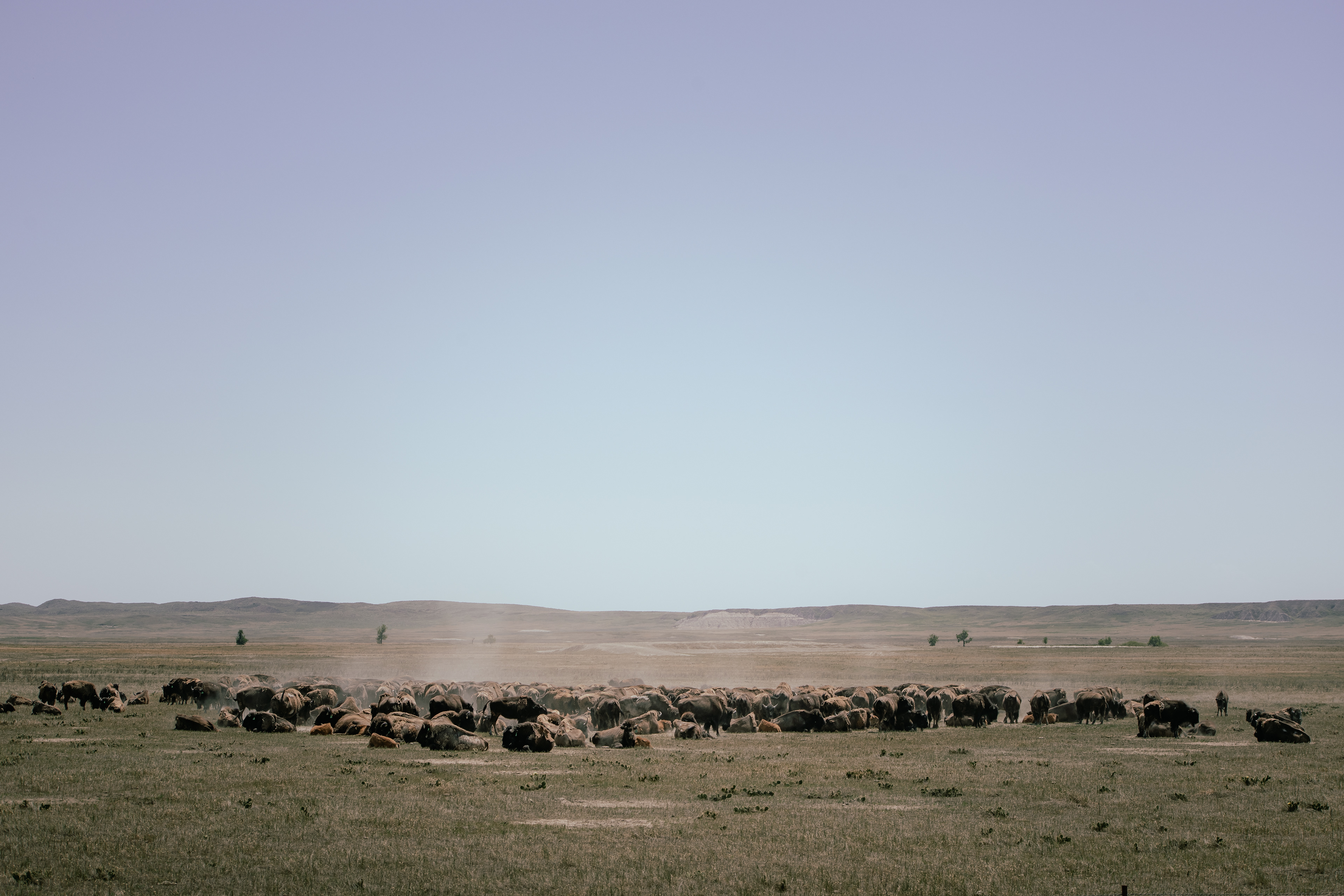 Badlands, South Dakota