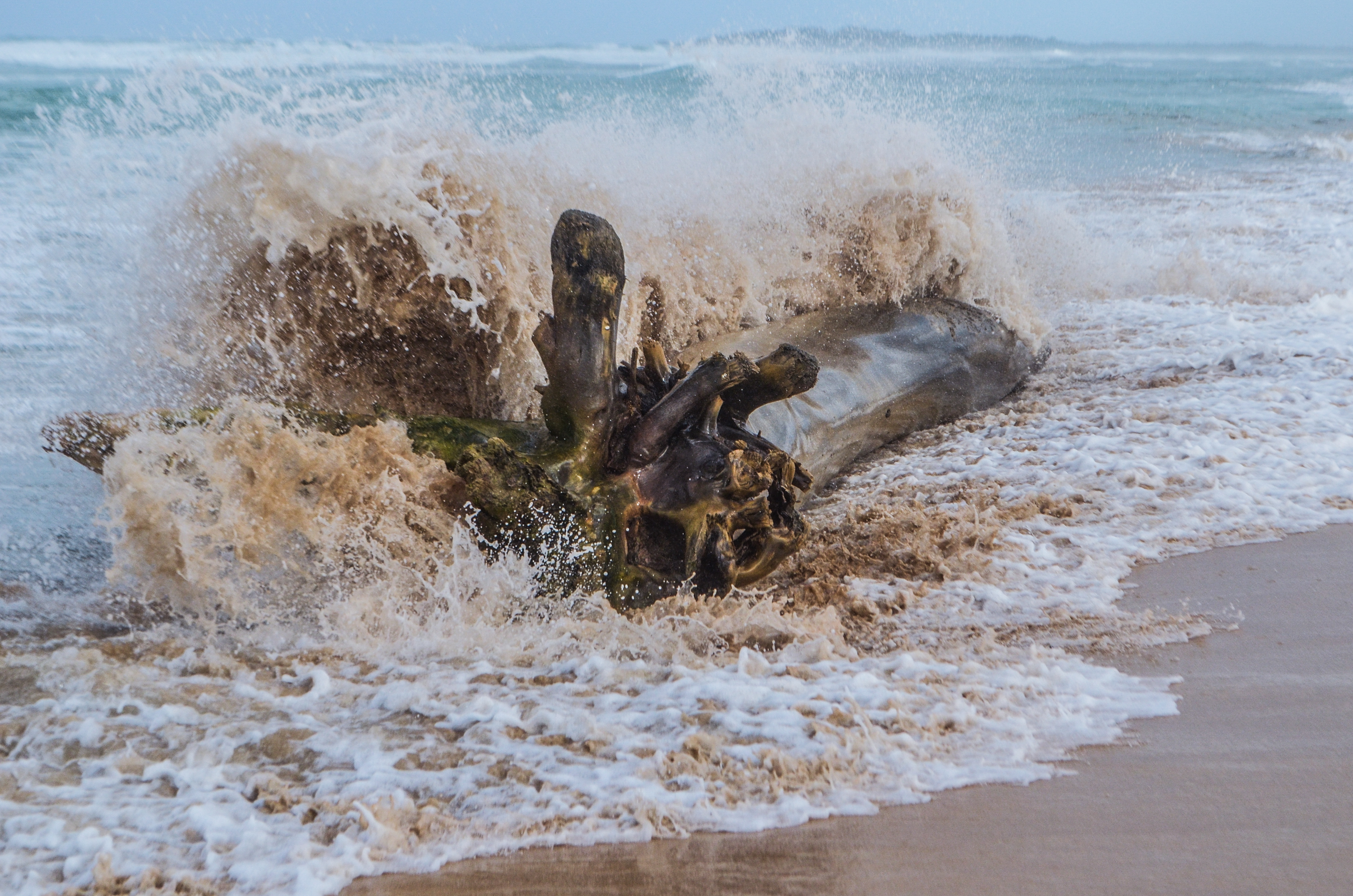 Barbados, 2018