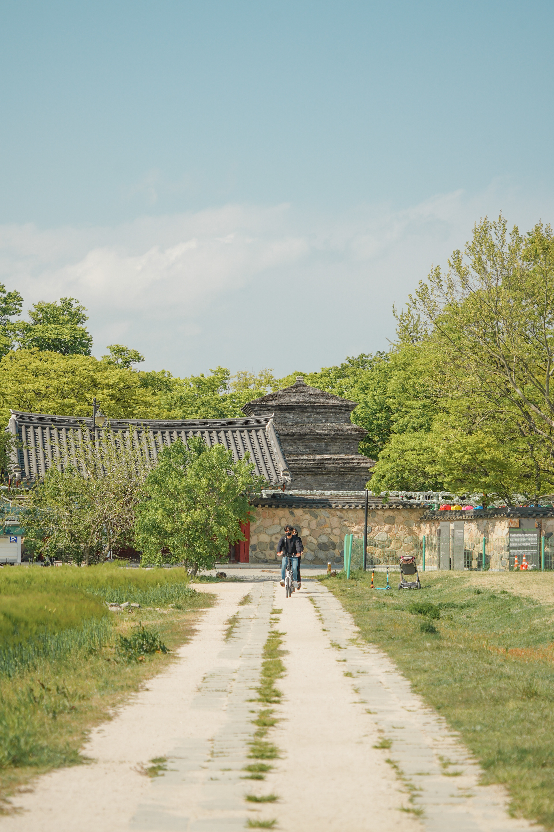 분황샃