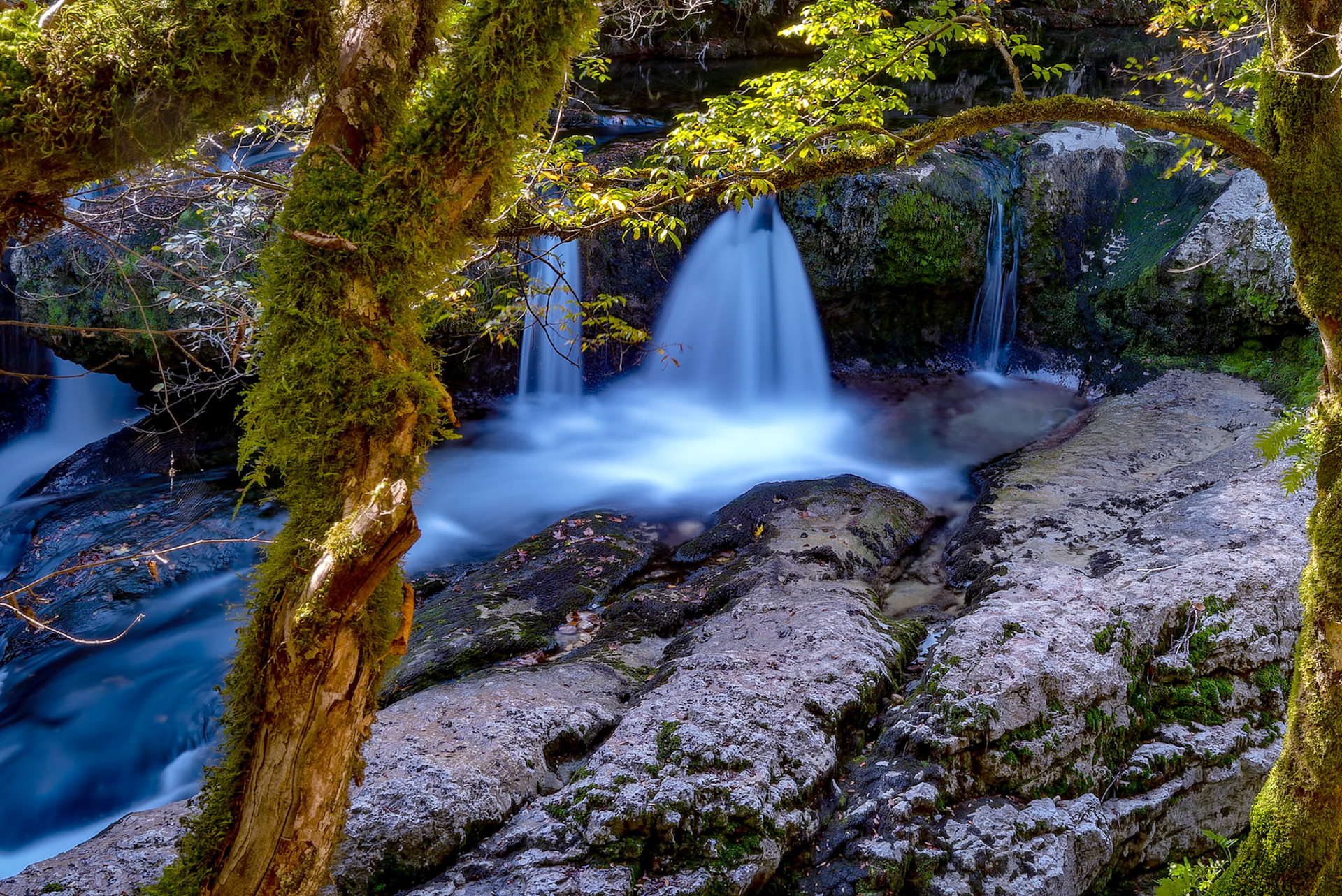 Martvili Canyon