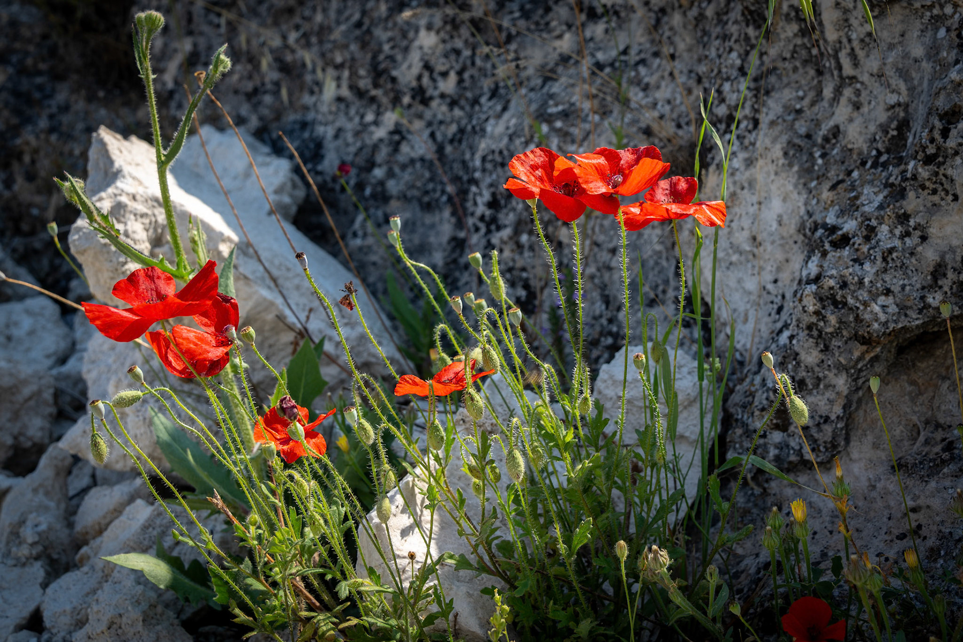 Türkiye, Pamukkale​​​​​​​