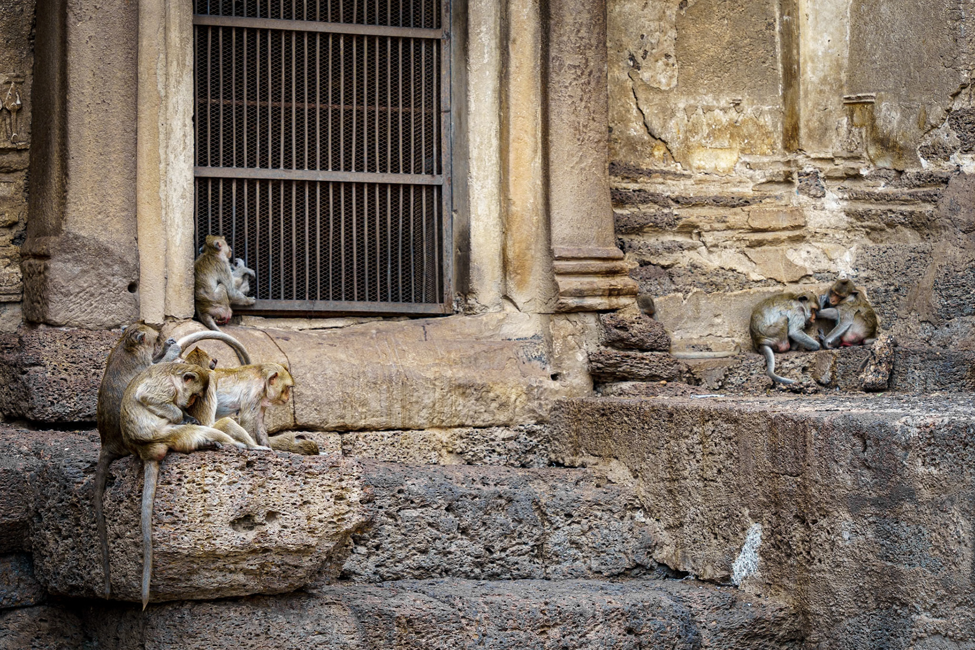 Prang Sam Yod: Monkey Temple