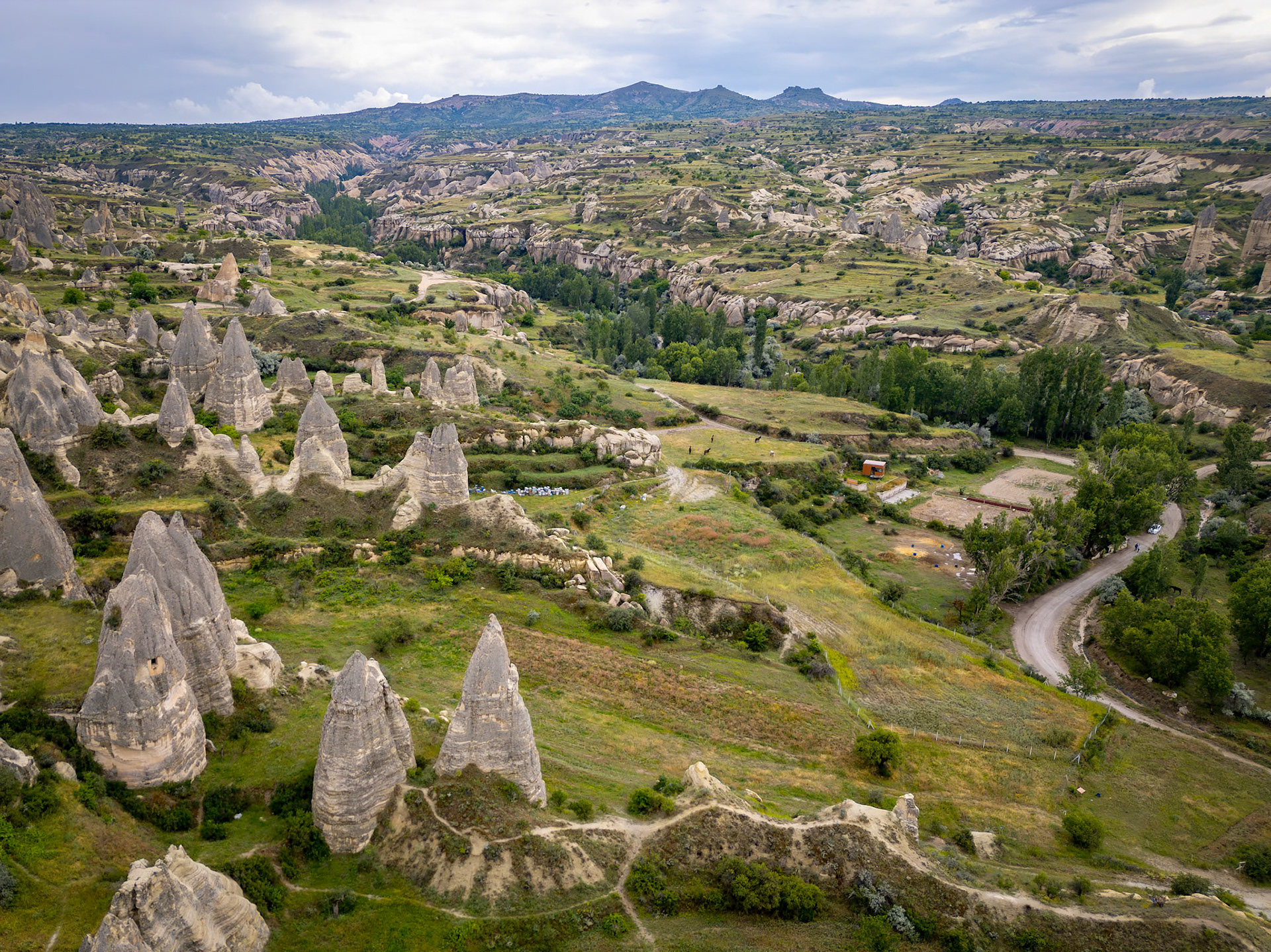 Rose Valley