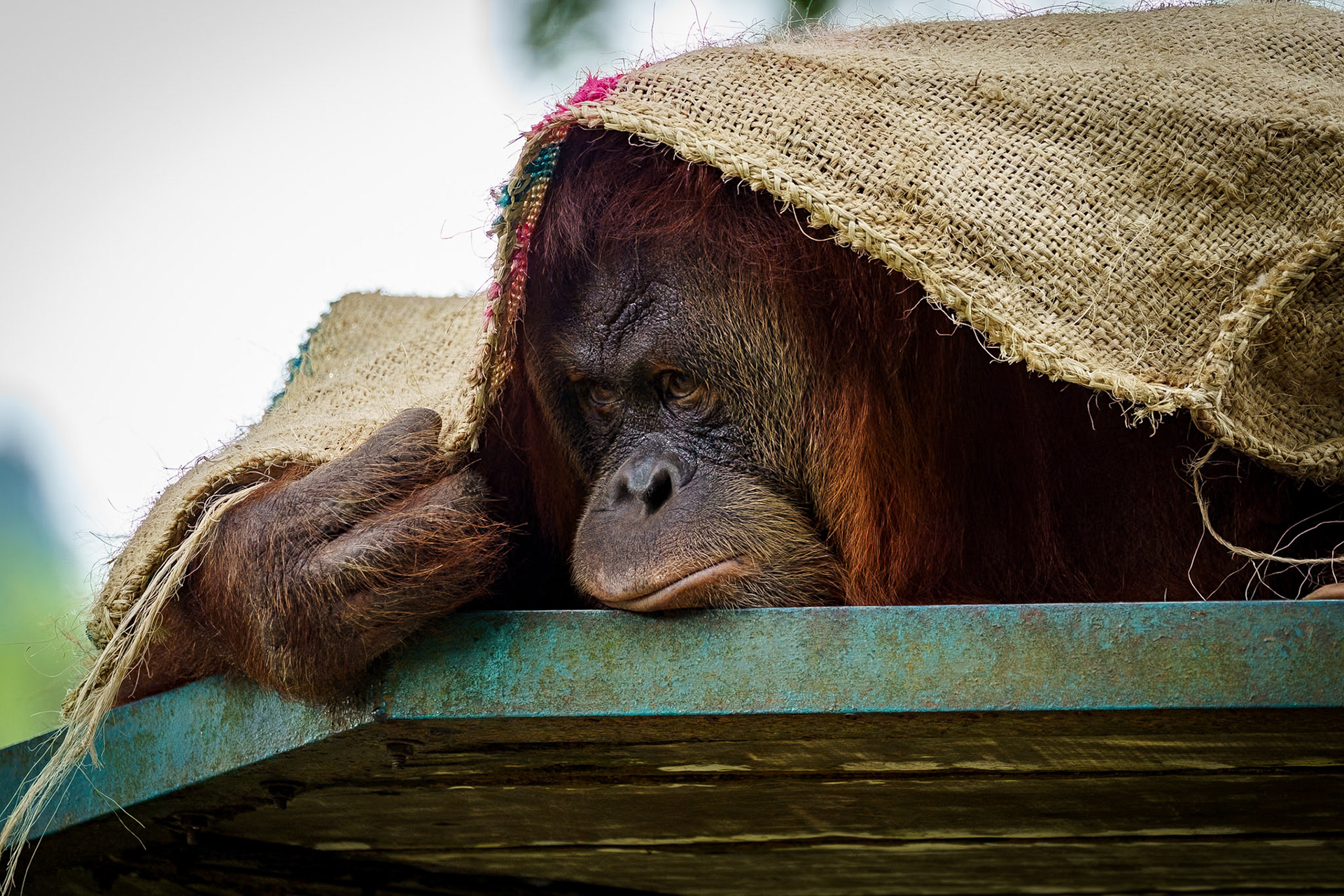 Malaysia, Kuala Lumpur
