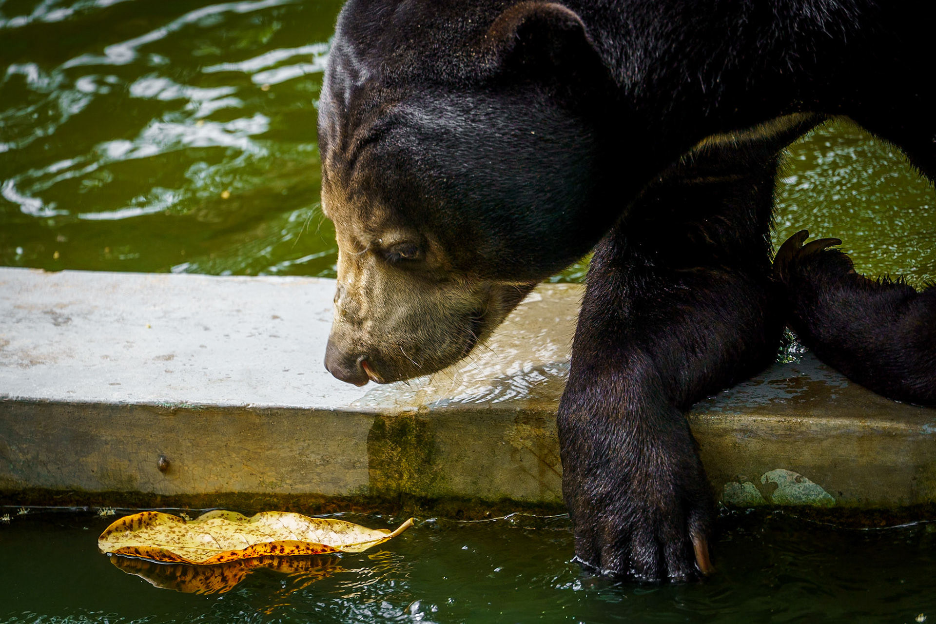 Malaysia, Kuala Lumpur
