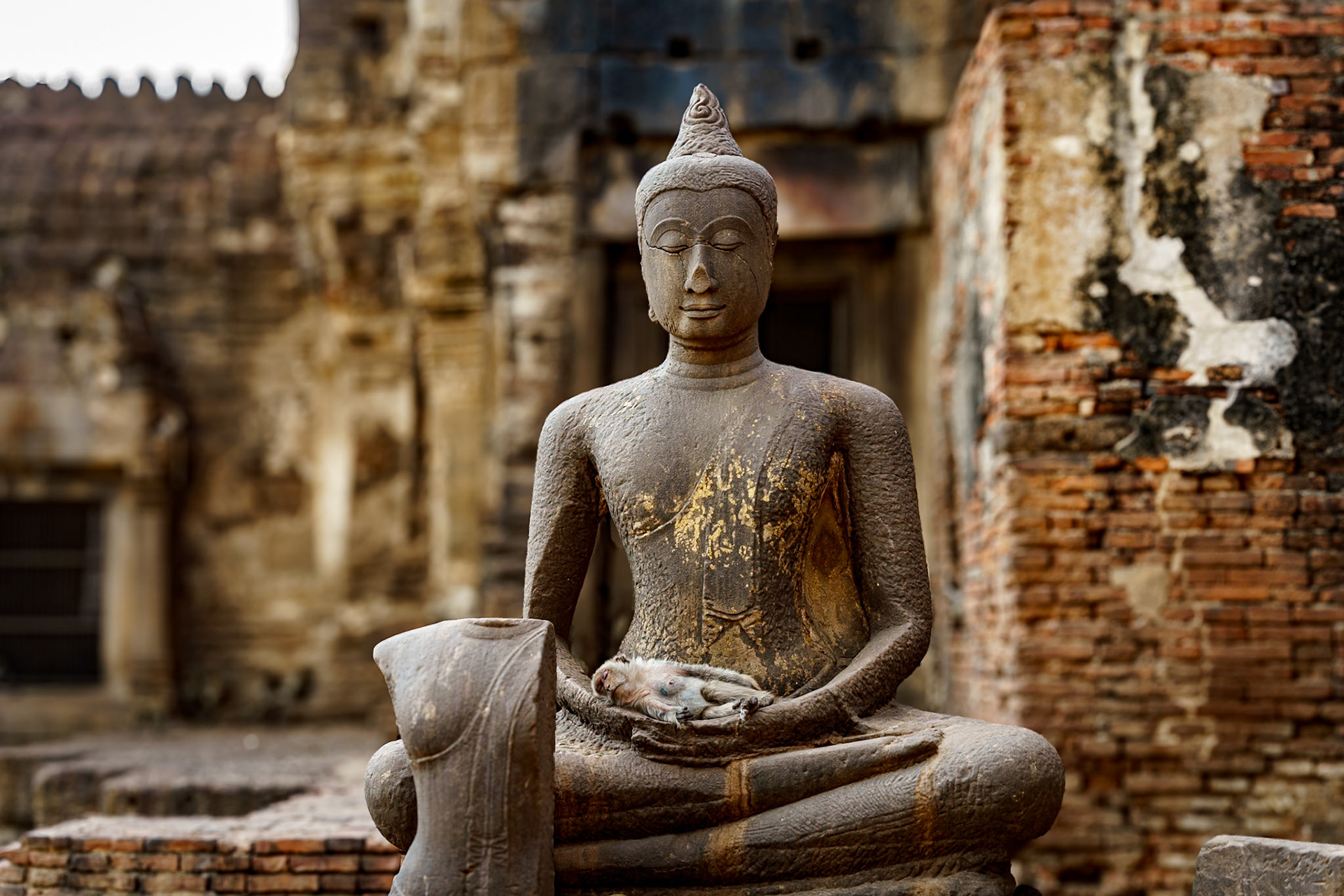 Prang Sam Yod: Monkey Temple