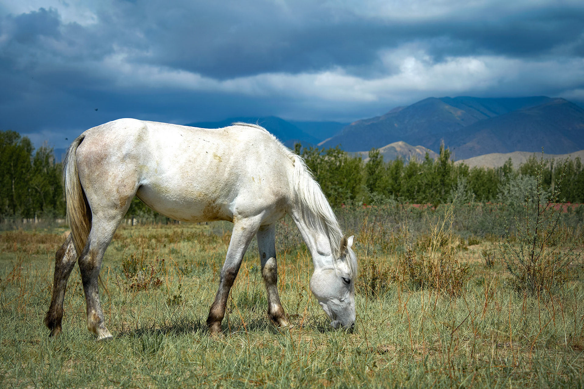 Kyrgyzstan, Issyk-Kul