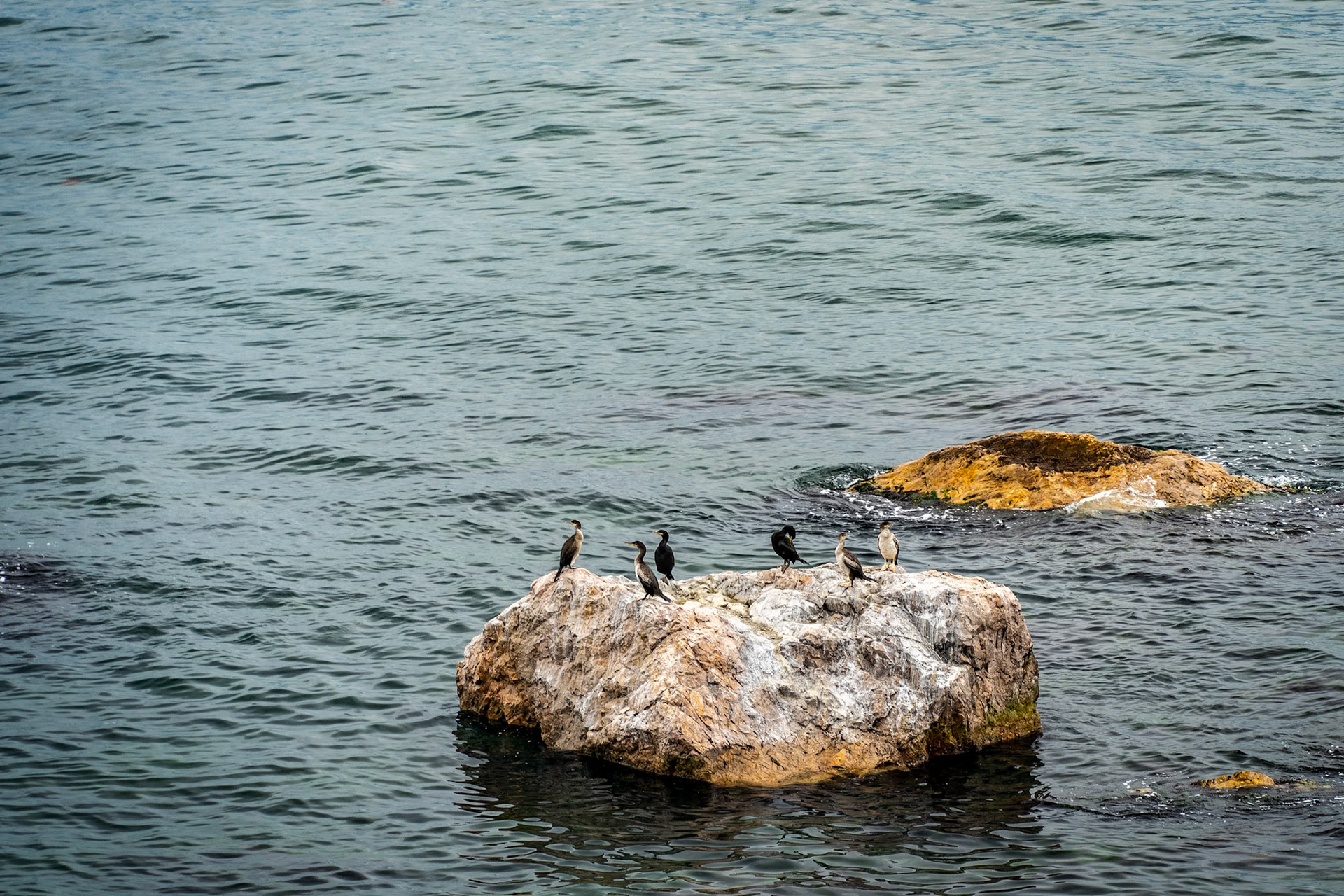 The Princes’ Islands