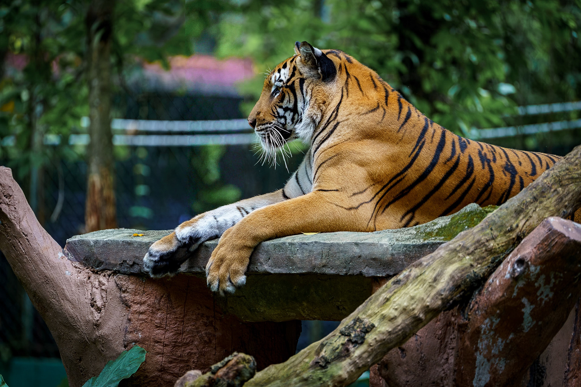 Malaysia, Kuala Lumpur