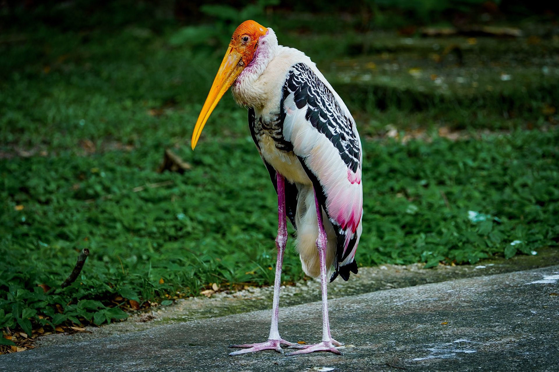 Malaysia, Kuala Lumpur