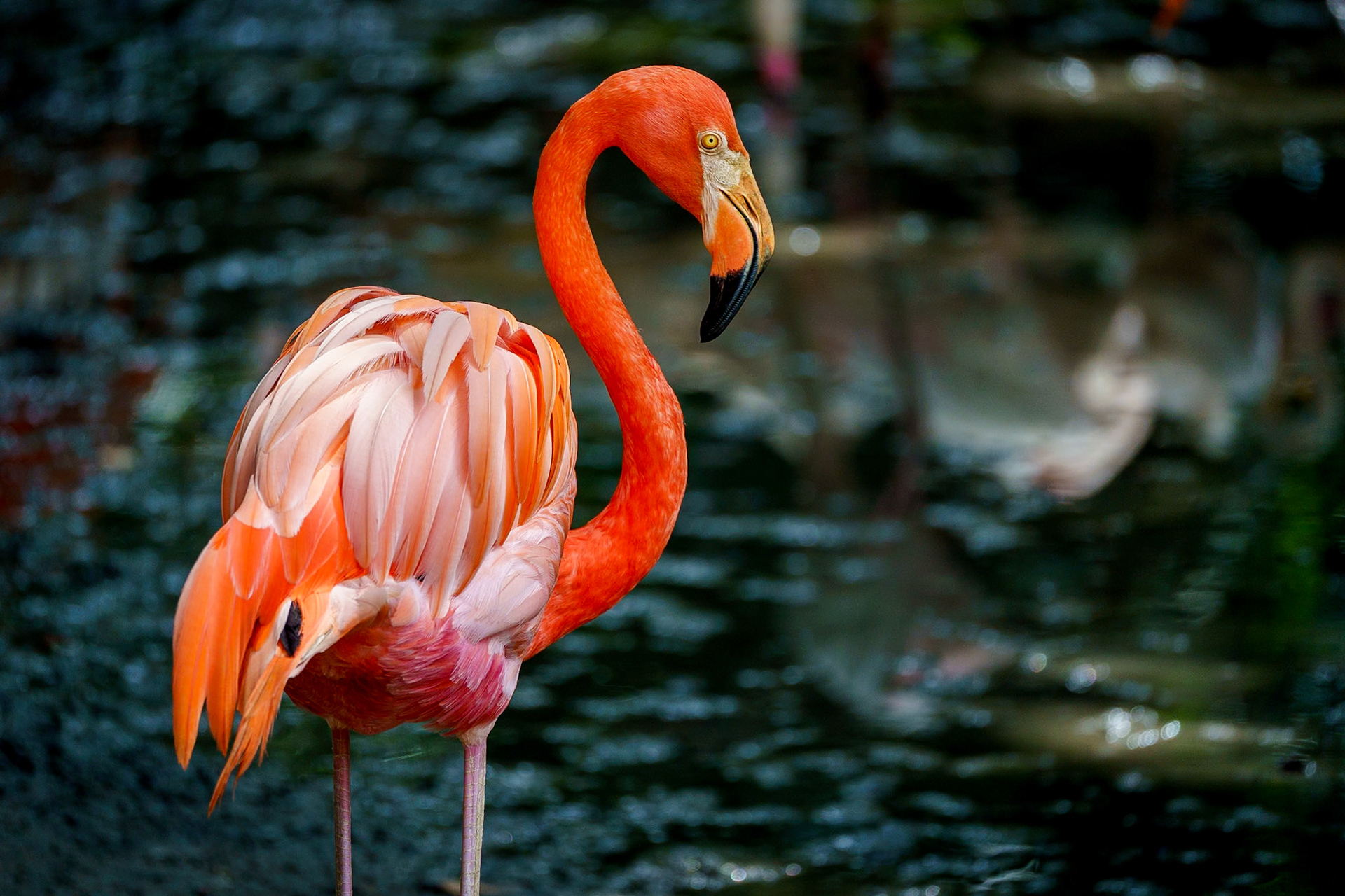 Malaysia, Kuala Lumpur