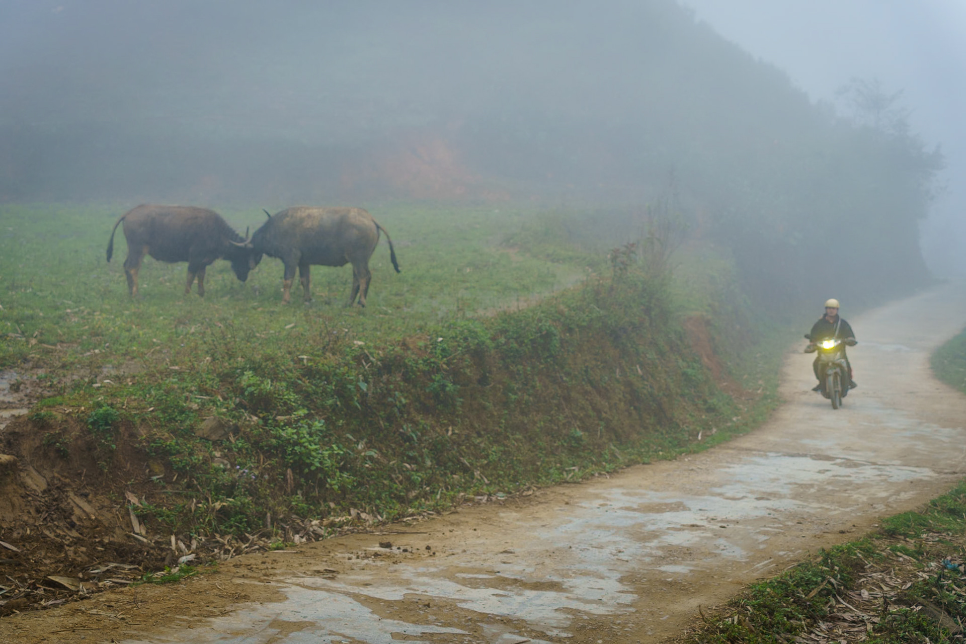 Trail to a Hmong ethnic village