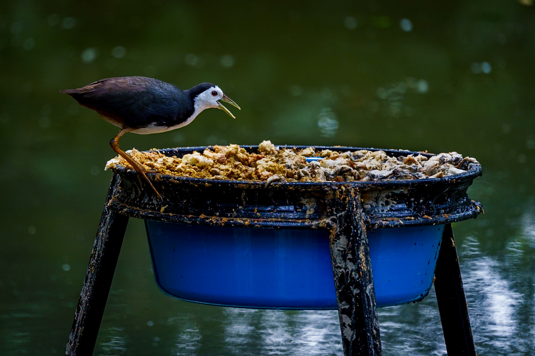 Malaysia, Kuala Lumpur