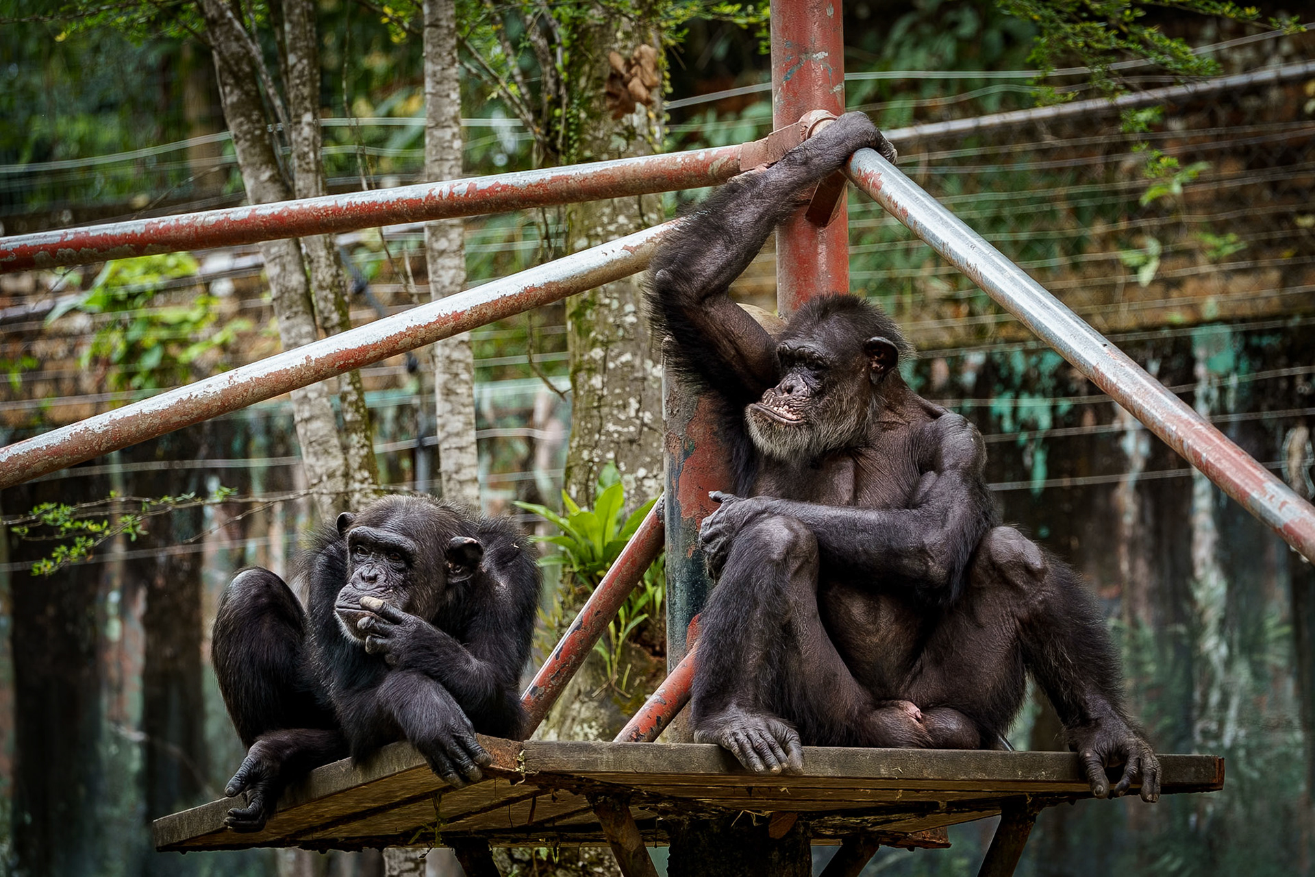 Malaysia, Kuala Lumpur