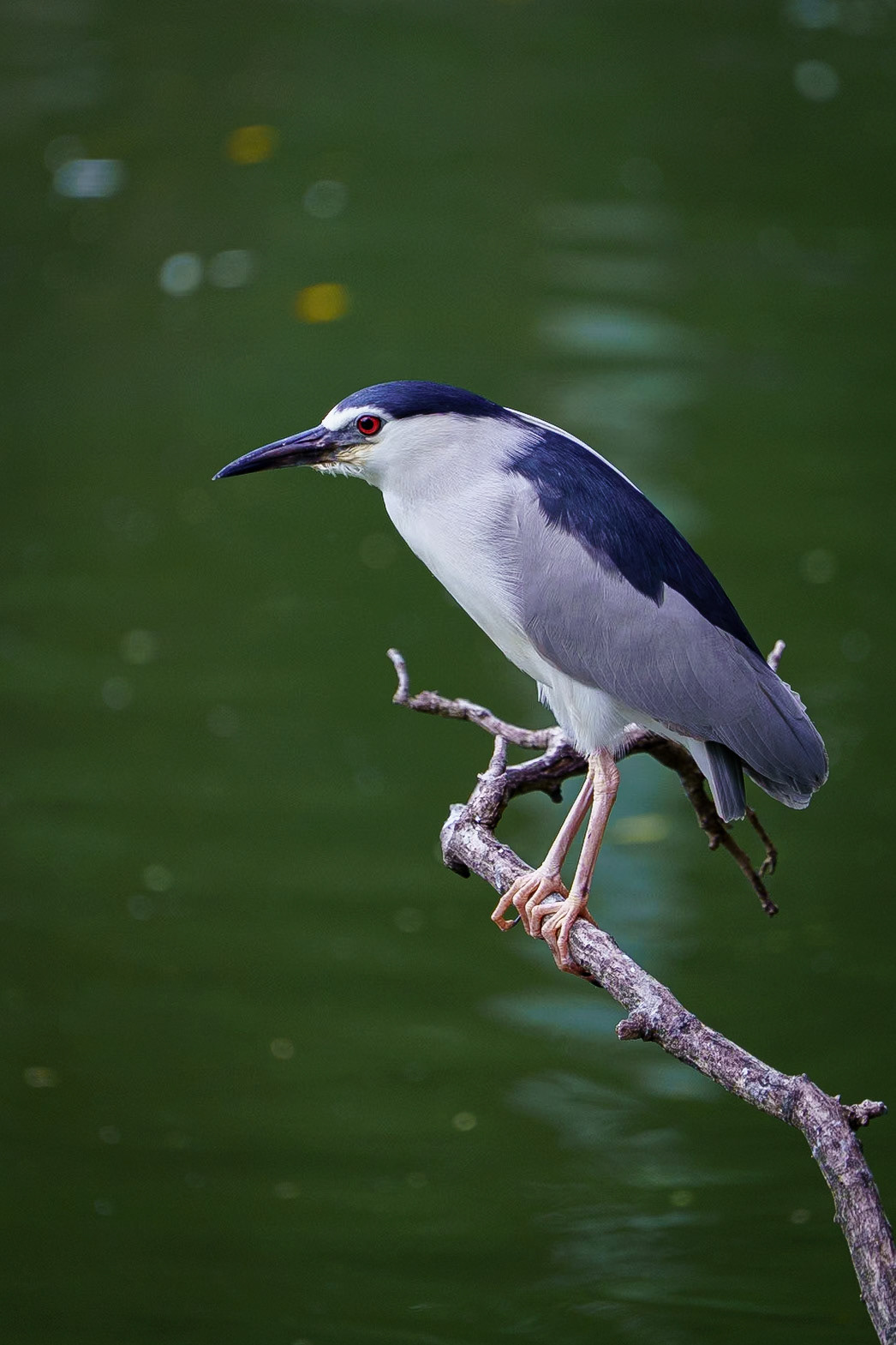 Malaysia, Kuala Lumpur