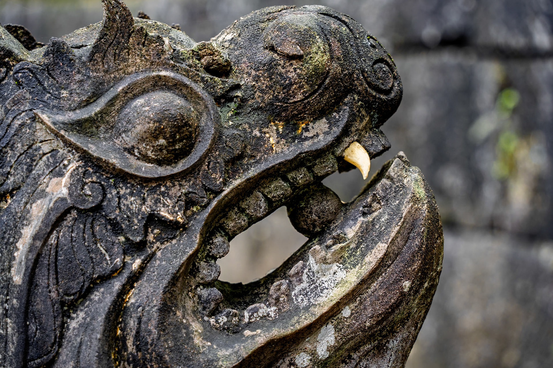 Stone dragon at Chùa Viên Phúc (Tuân Cáo Pagoda)