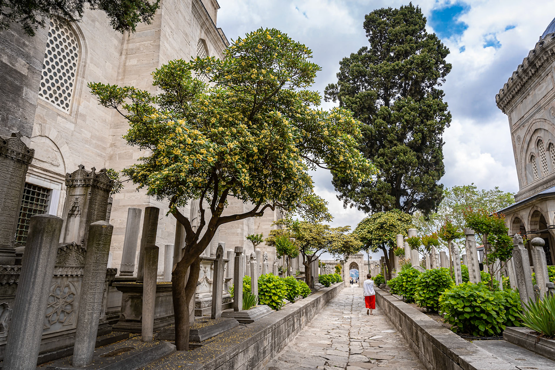 The Süleymaniye Mosque