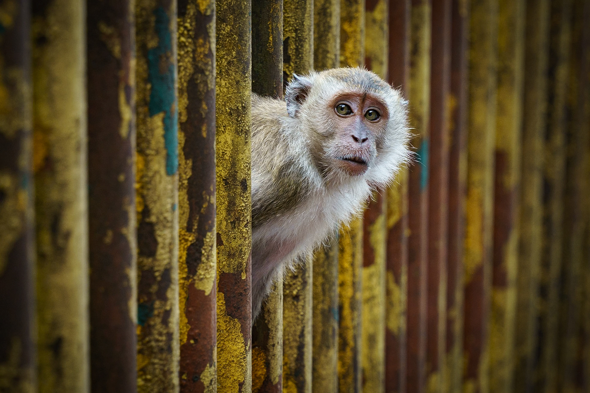Malaysia, Kuala Lumpur
