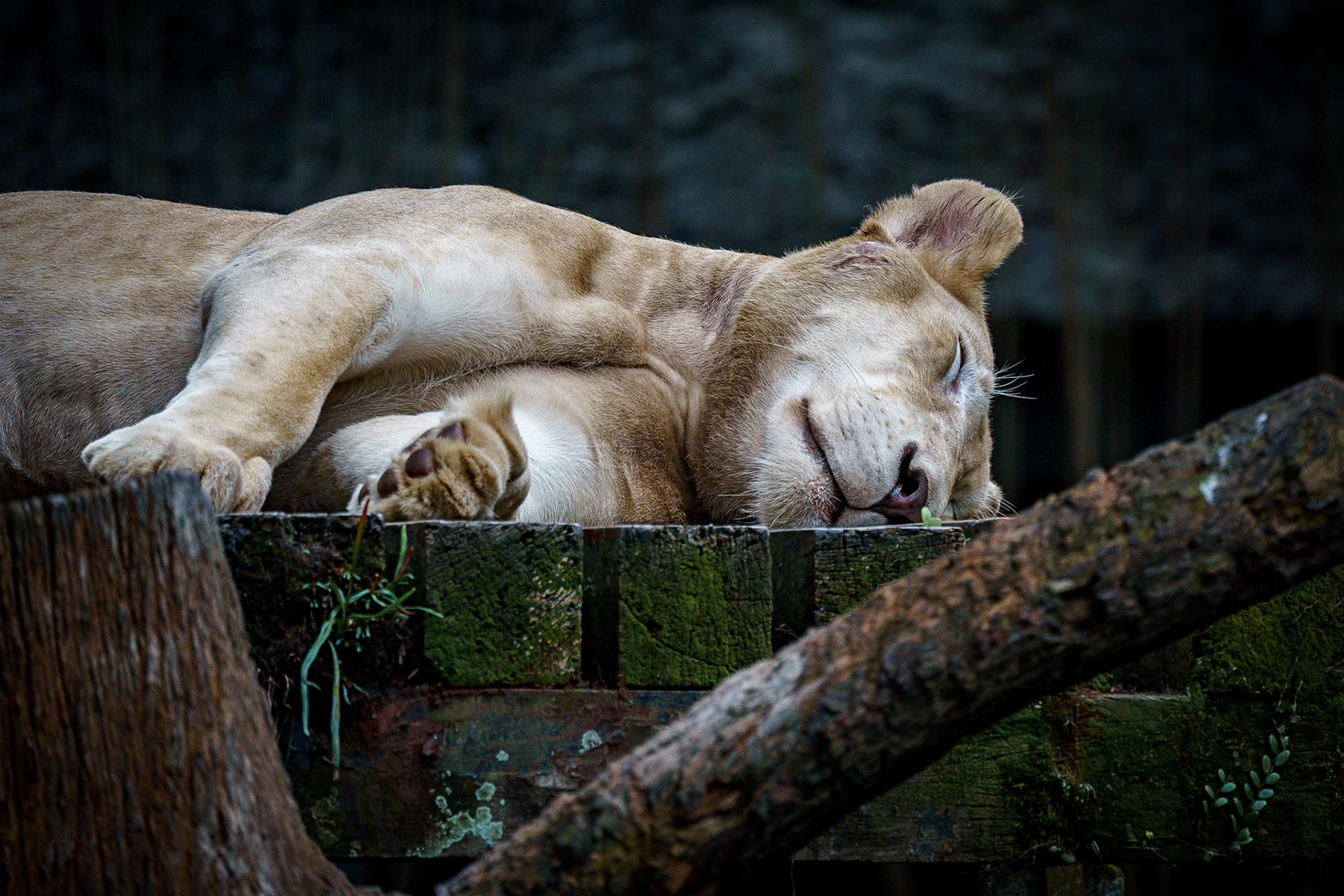 Malaysia, Kuala Lumpur