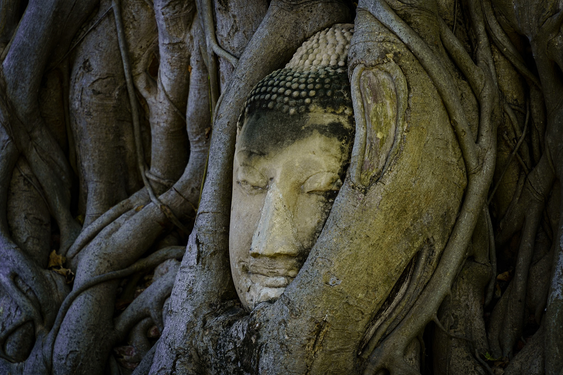 Wat Mahathat