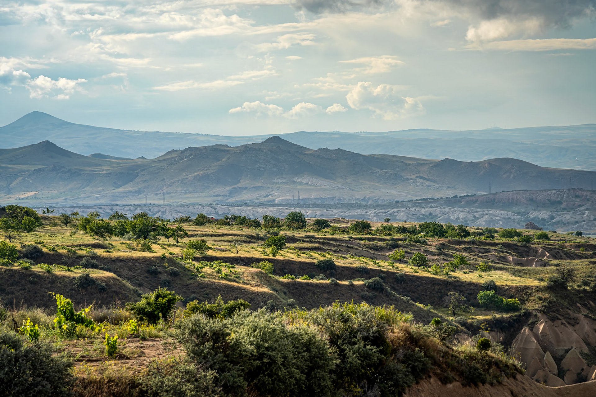 Rose Valley
