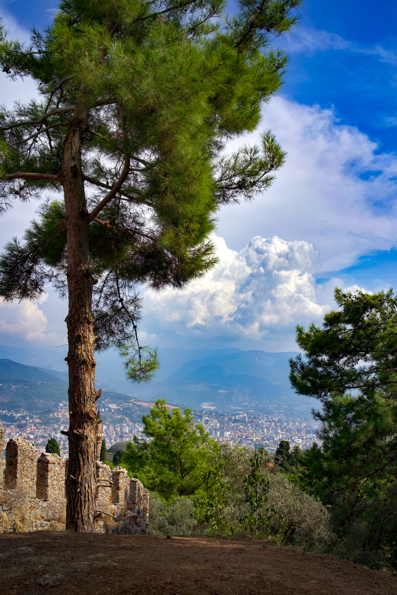 Alanya Castle district