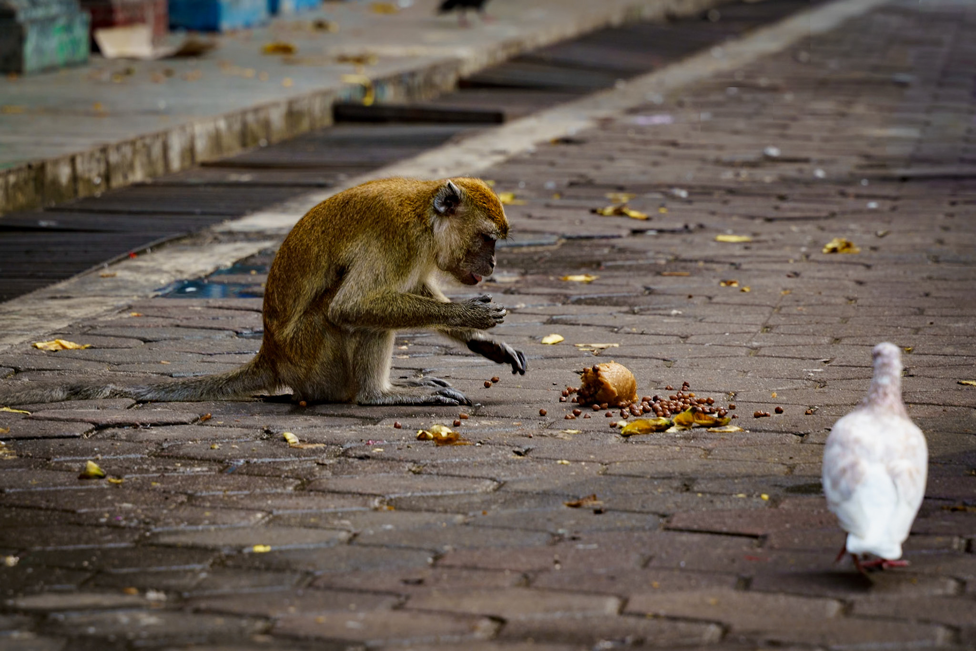 Malaysia, Kuala Lumpur