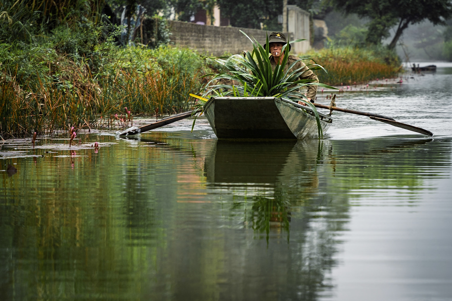 Vietnam, Ninh Binh