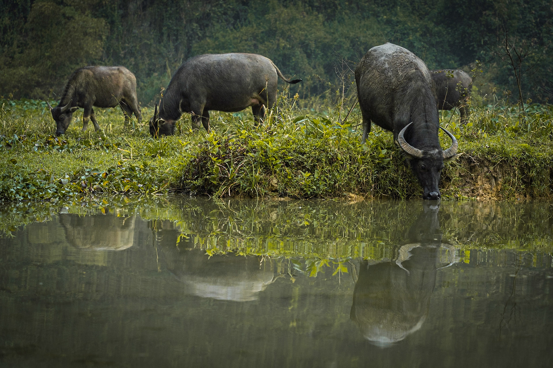 Vietnam, Ninh Binh