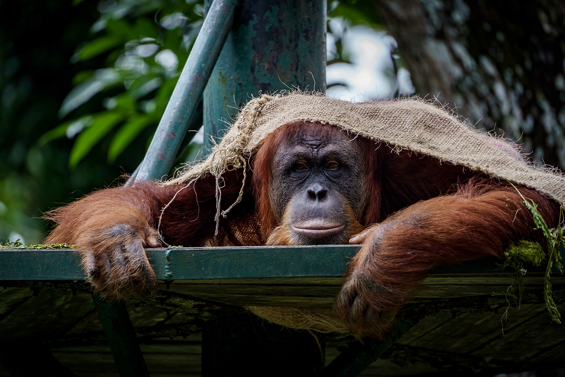 Malaysia, Kuala Lumpur