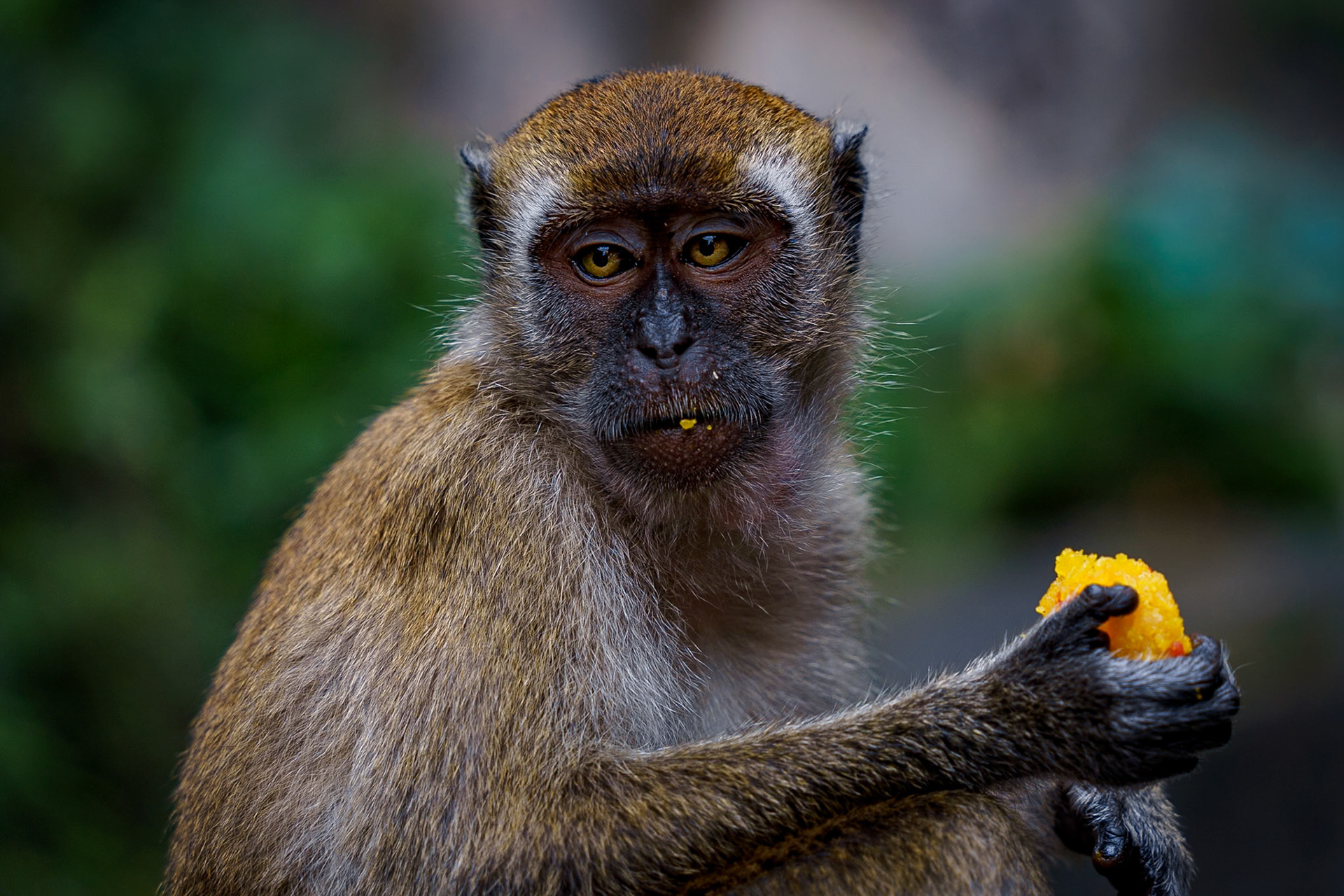 Malaysia, Kuala Lumpur