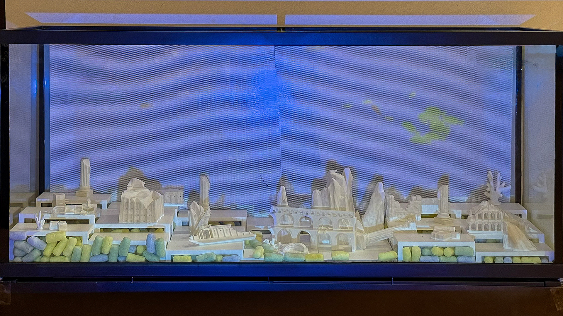 Main aquarium view — The tank acts as the physical boundary between viewer and simulated ecosystem.