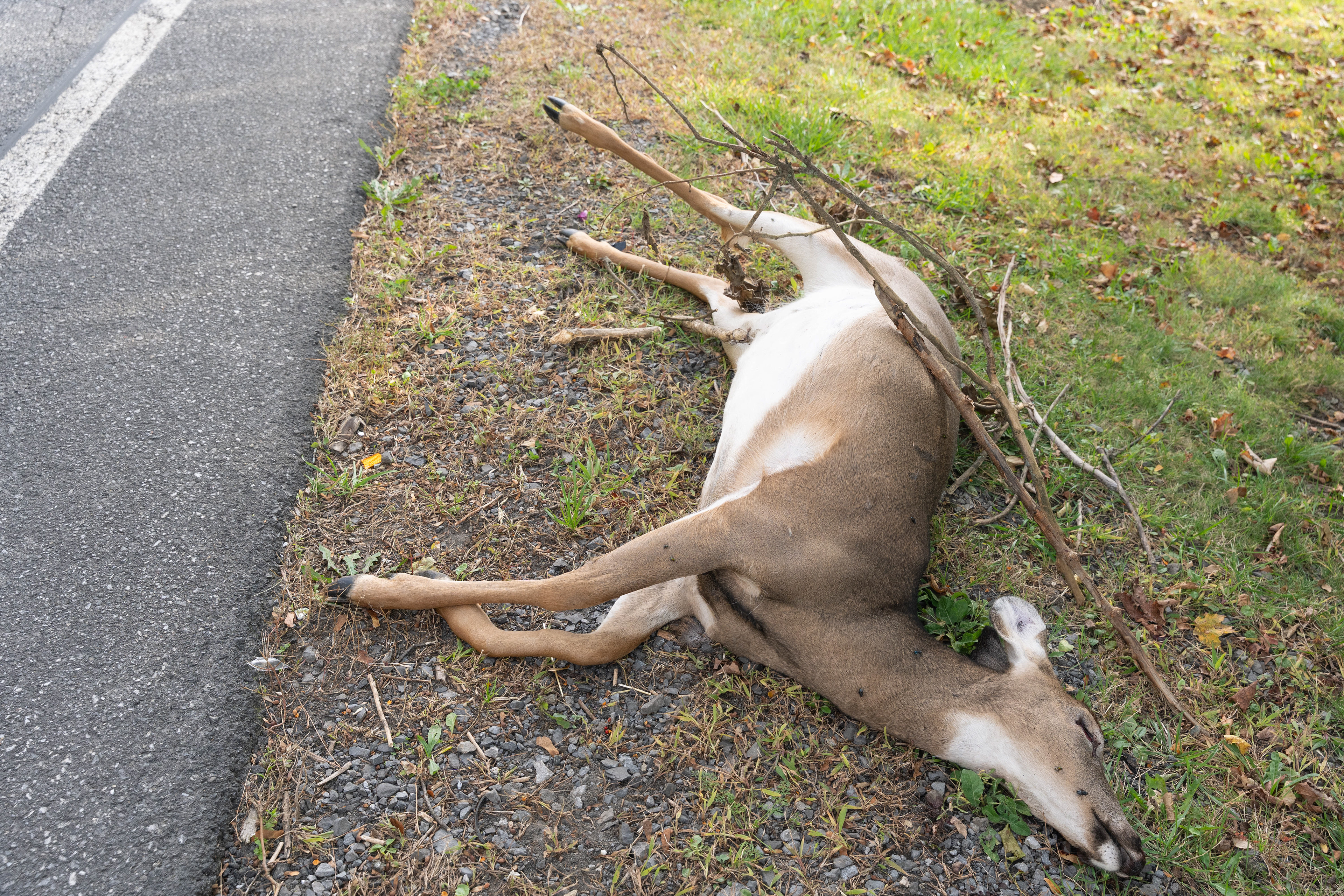 La luz la pinta divina. 2025. Red Hook, NY.