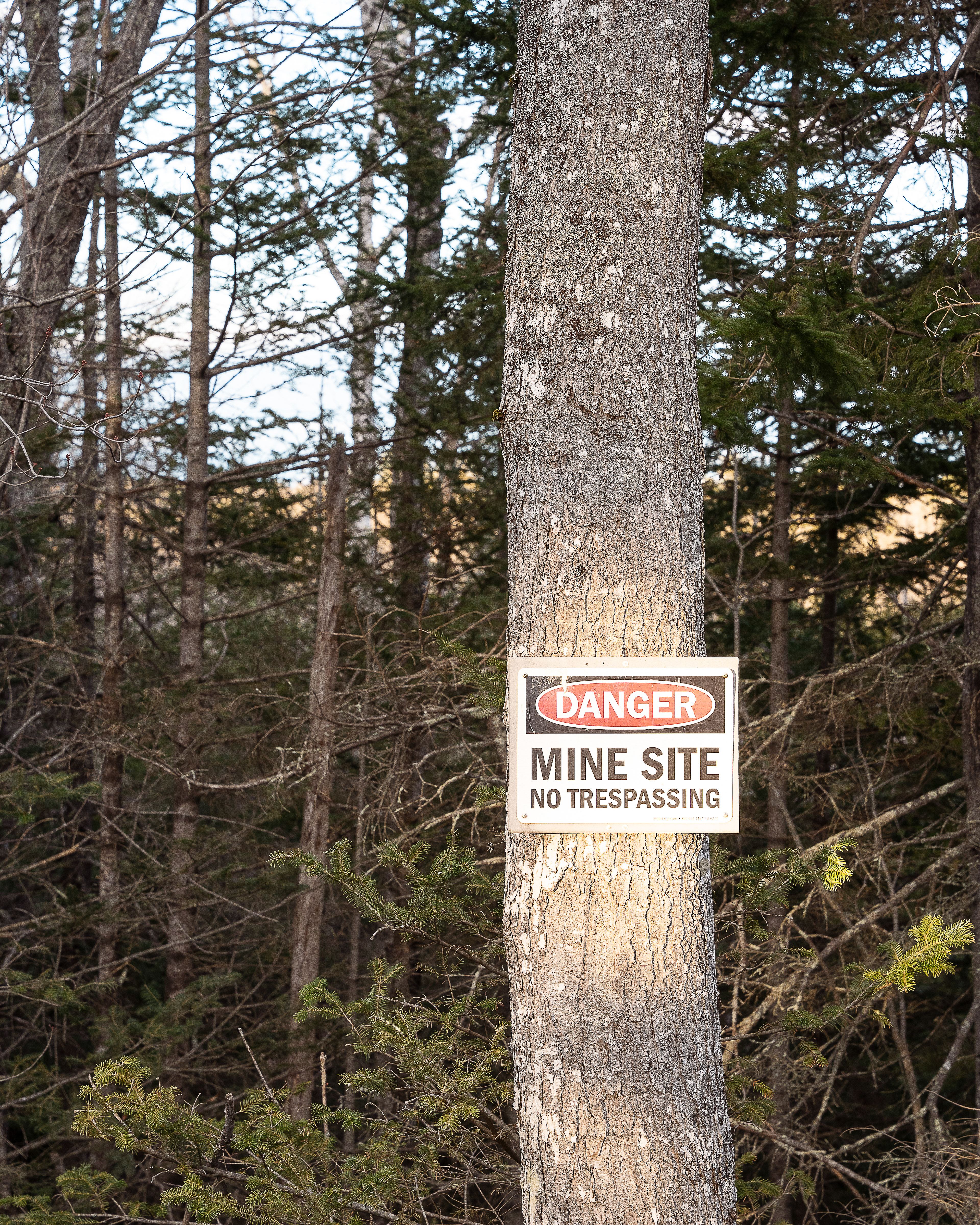 2023. Waldo County, ME.