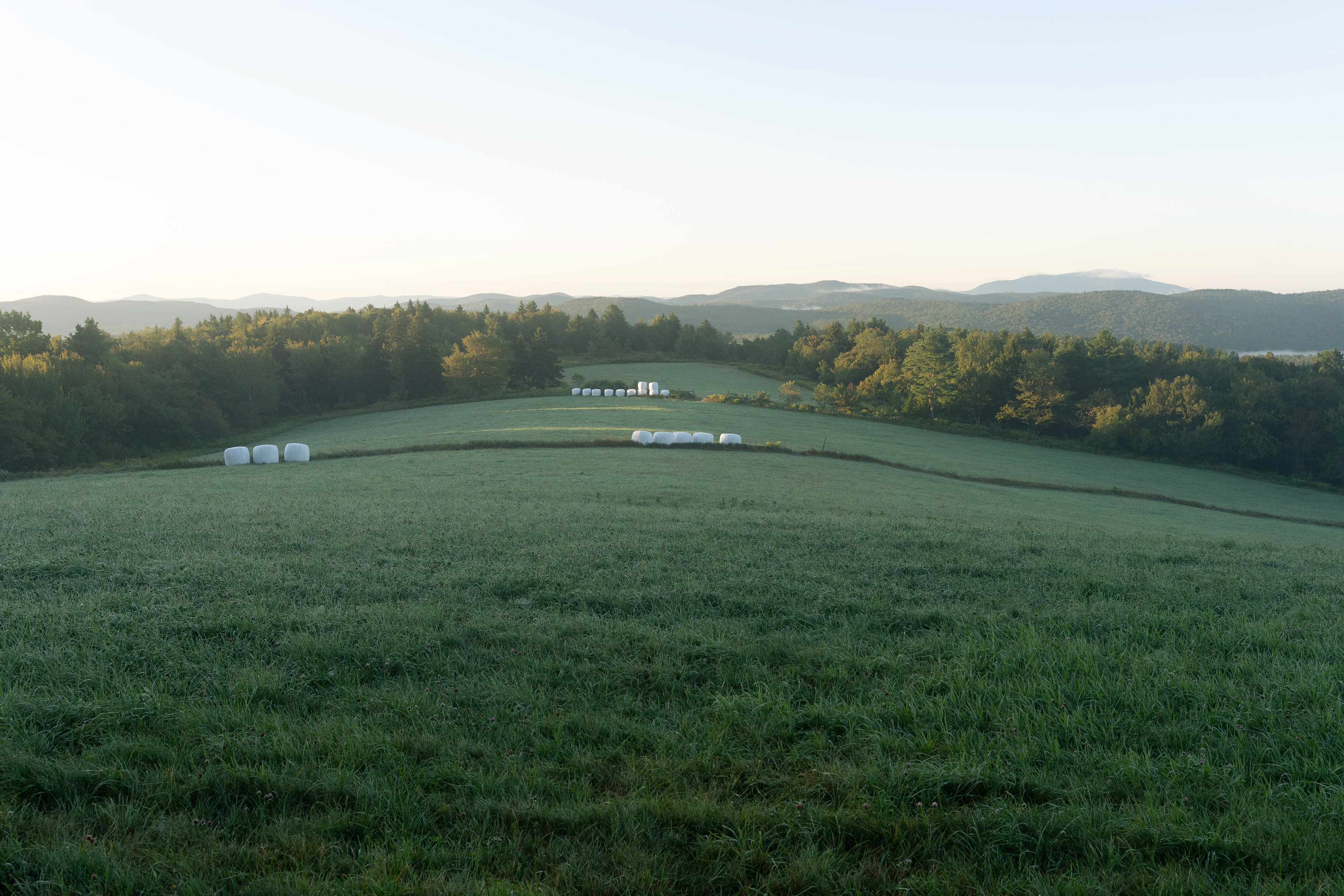 2025. Stoddard, NH.