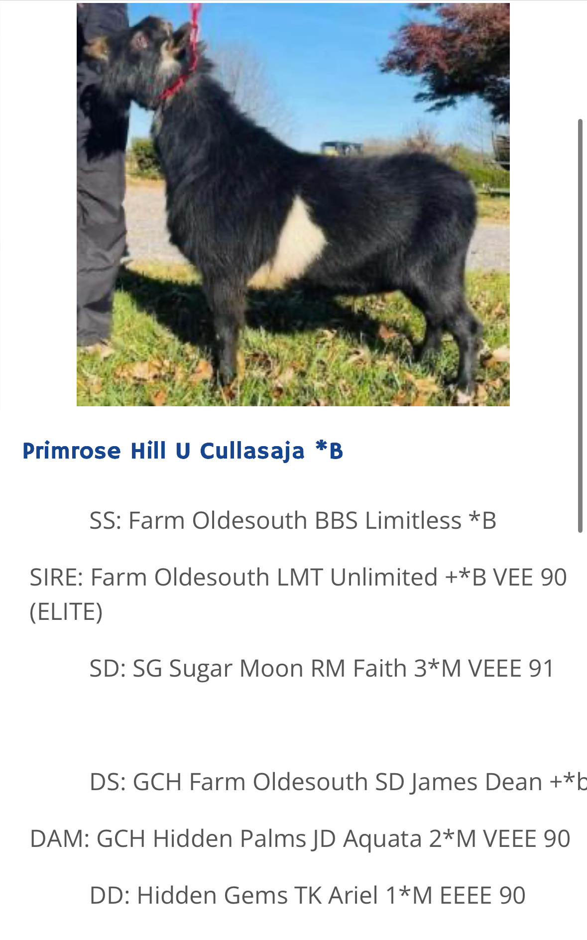 Sire's Sire: Primrose Hill Cullasaja *B