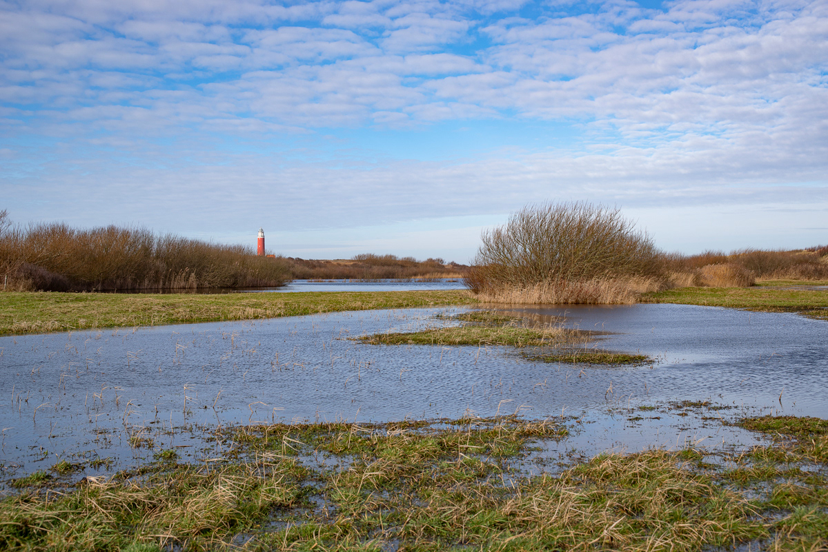 De Robben Texel