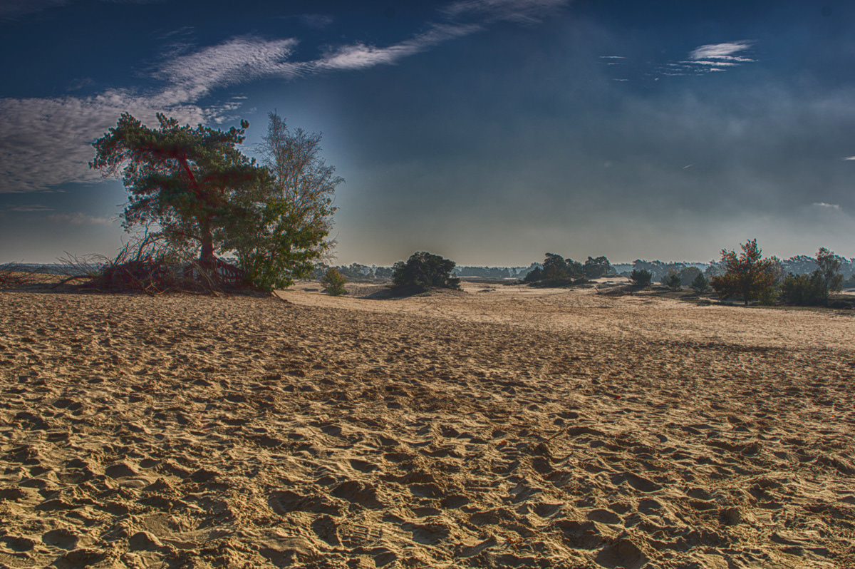 Kootwijkerzand