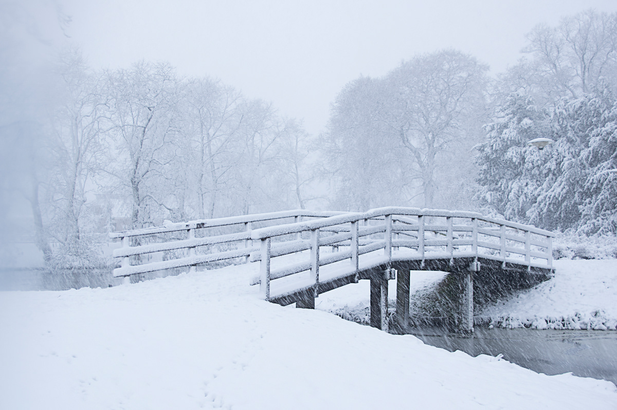 Bruggetje park Rijnstroom Alphen aan den Rijn