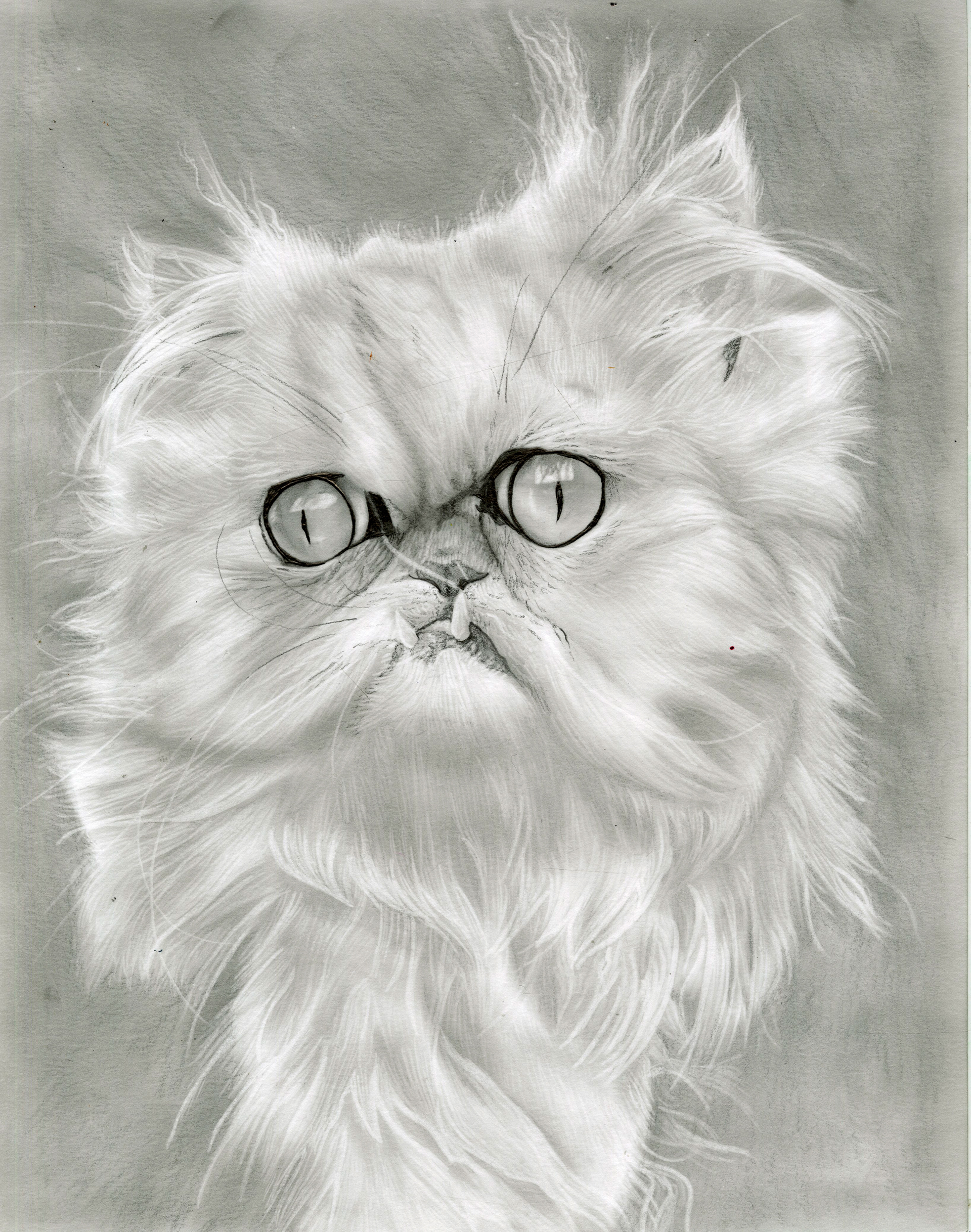 Wilfred Portrait