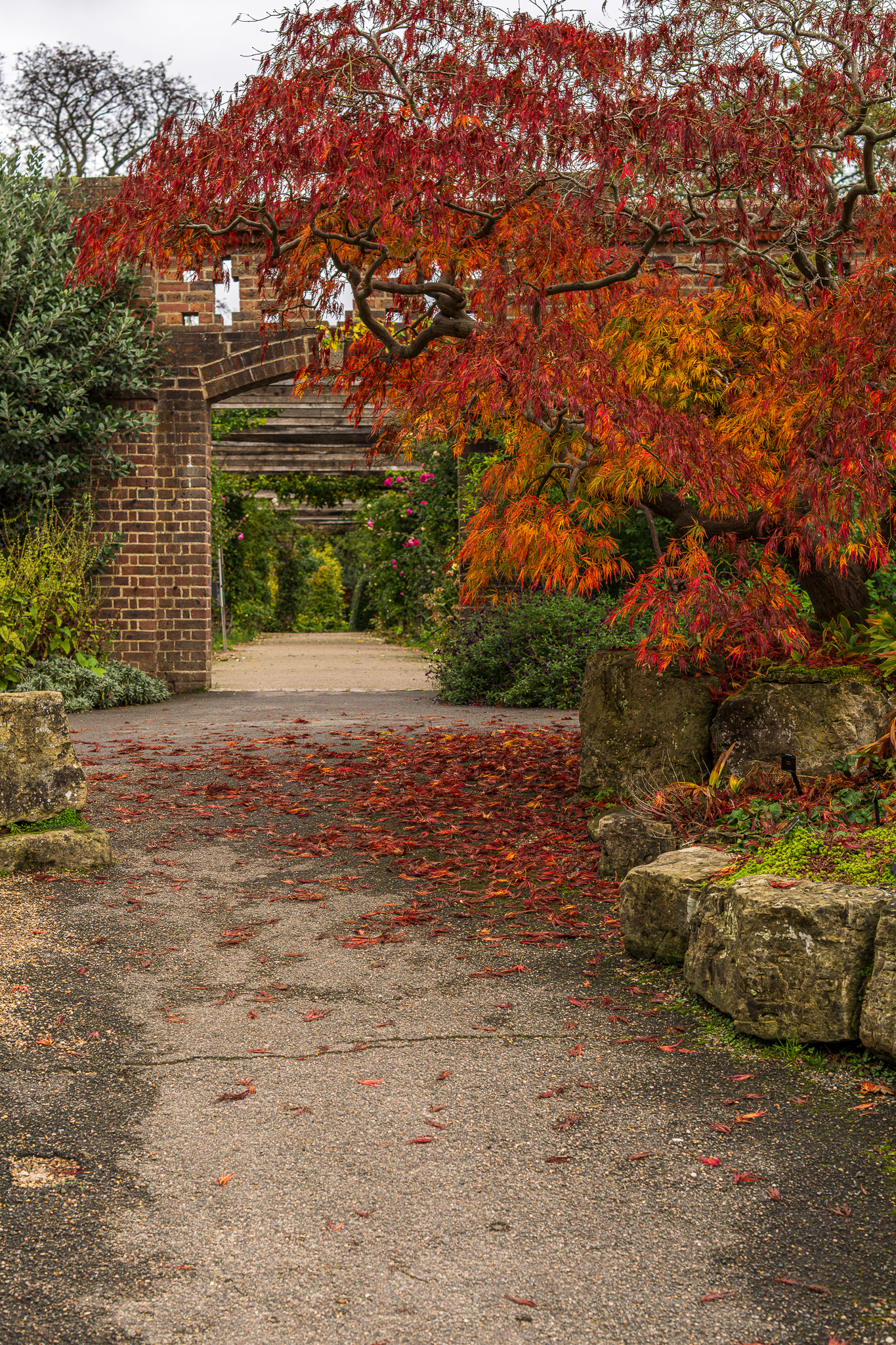 ZEISS Loxia 2/50 Planar T*