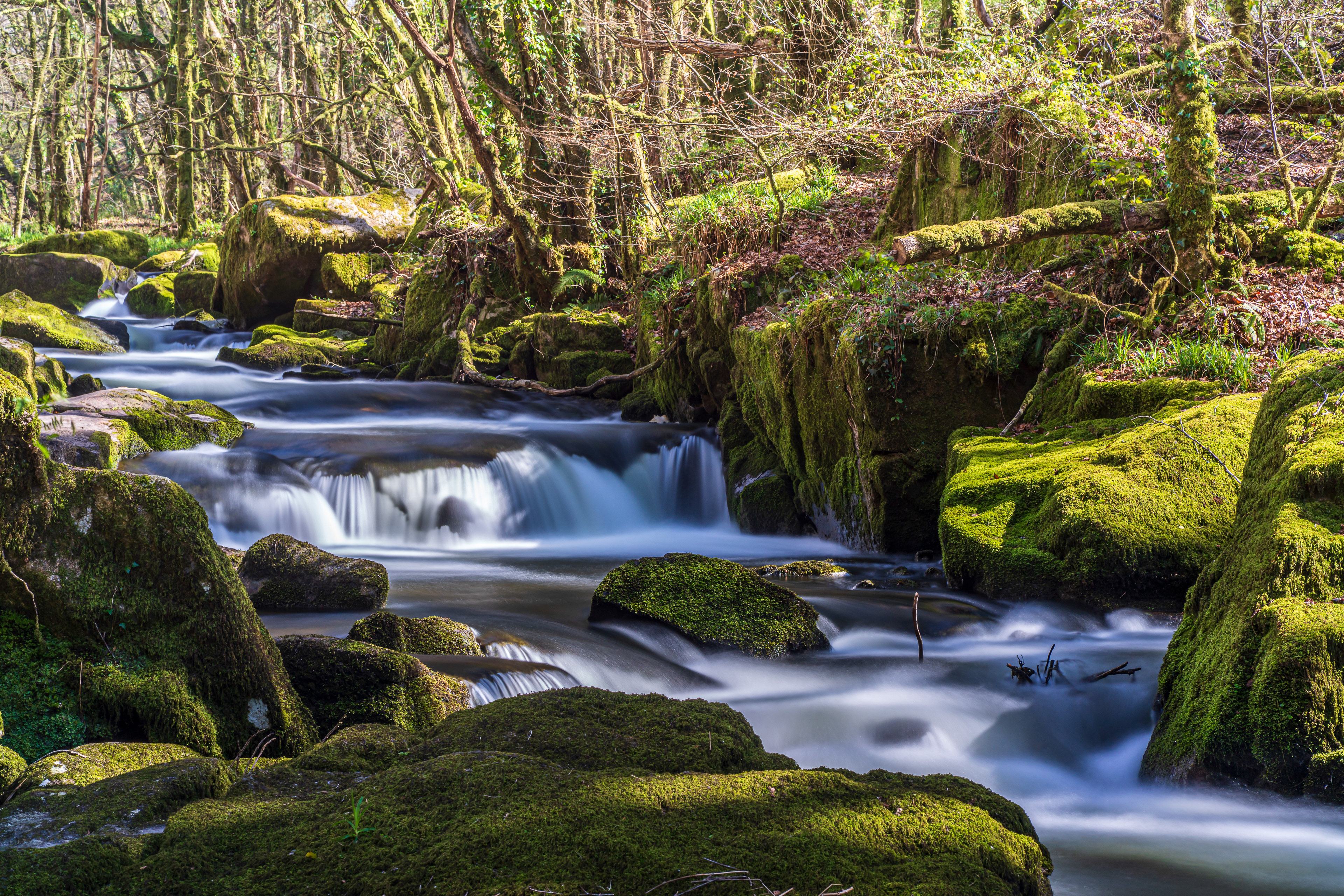 ZEISS Batis 1.8/85 Sonnar T*