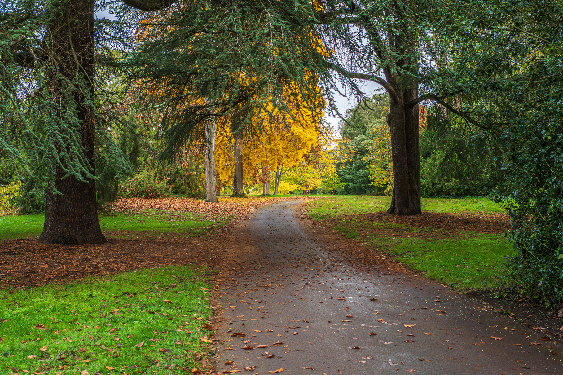 ZEISS Loxia 2/35 Biogon T*