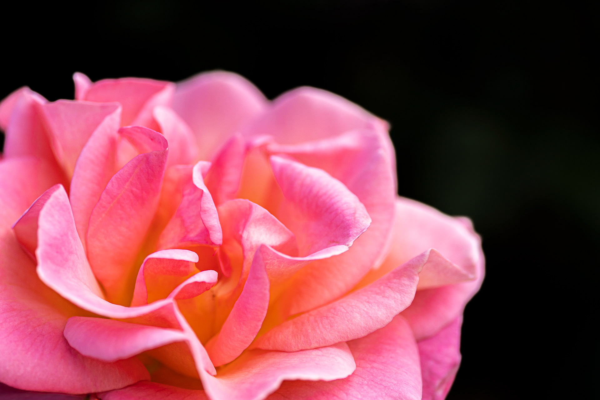 ZEISS Touit 2.8/50M Planar T*