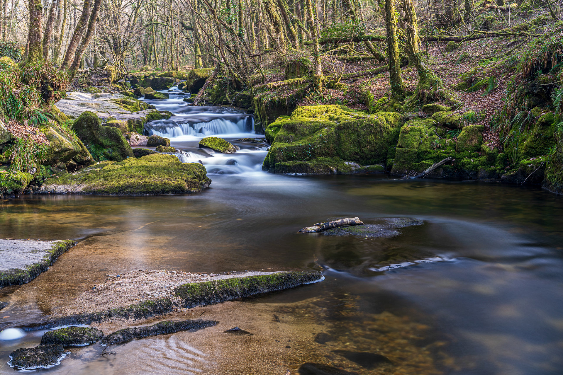 ZEISS Batis 2/40 CF Distagon T*