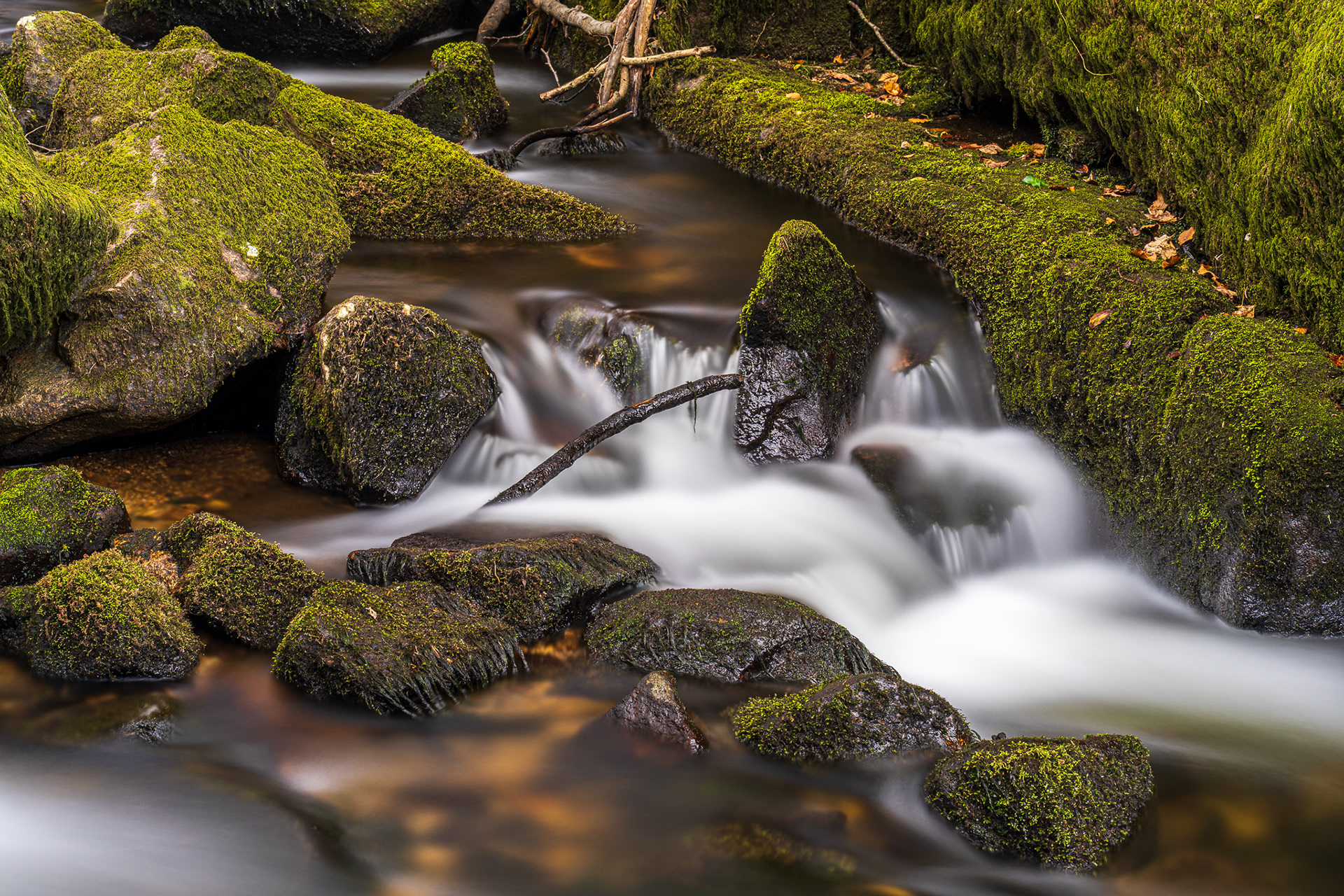 ZEISS Batis 1.8/85 Sonnar T*