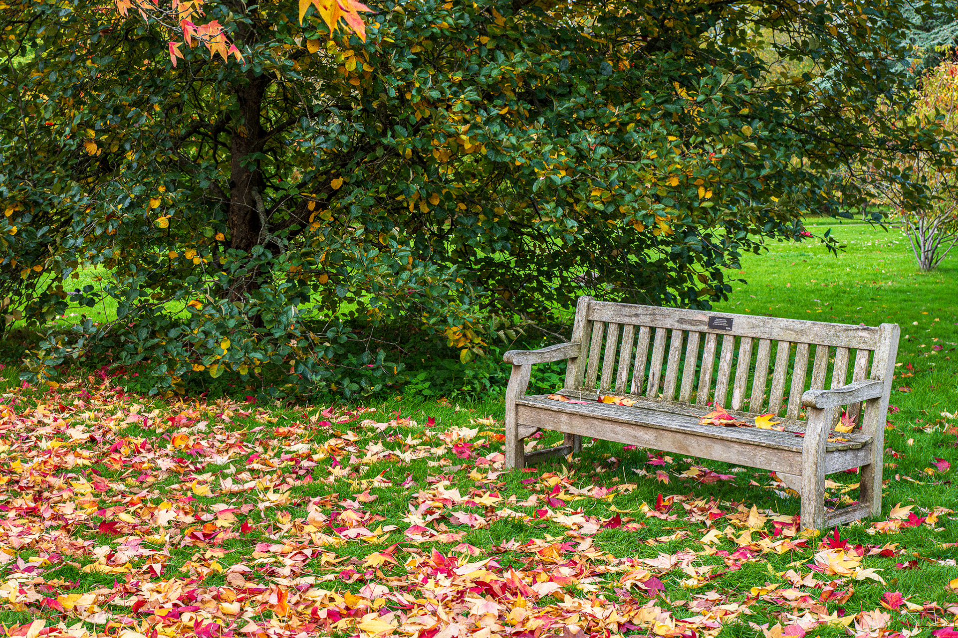 ZEISS Loxia 2/35 Biogon T*
