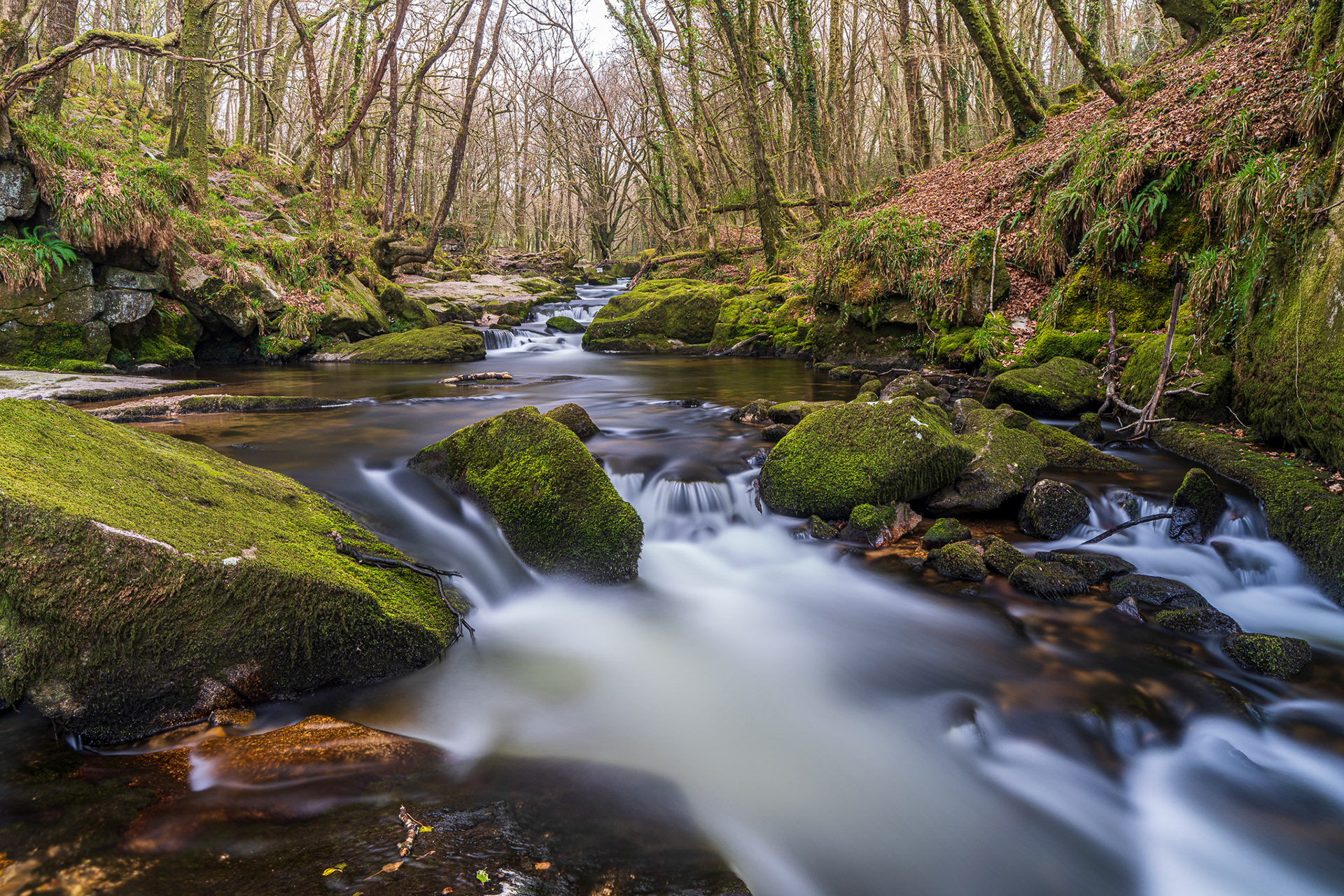 ZEISS Batis 2/25 Distagon T*